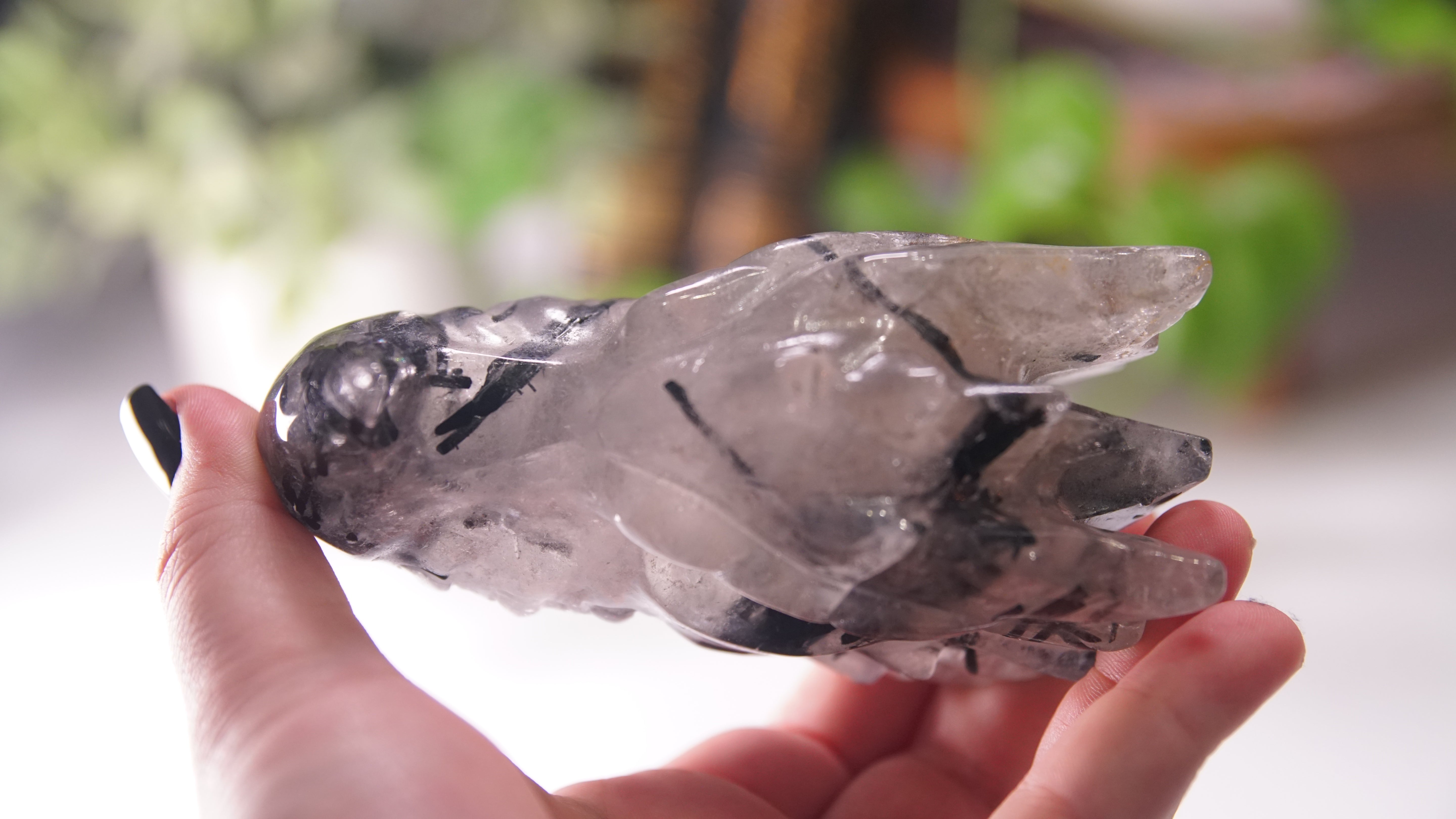 Gorgeous Black Tourmaline In Quartz Dragon Skull