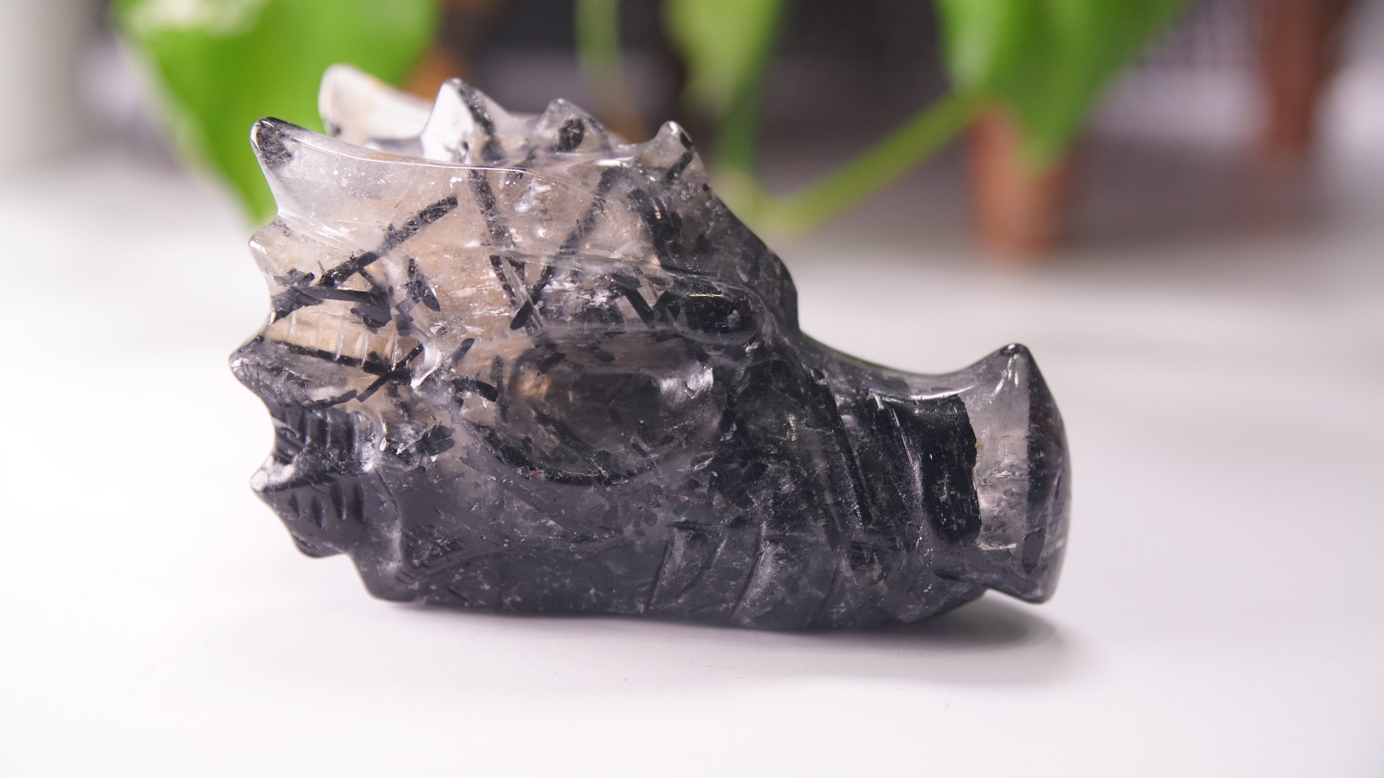 Gorgeous Black Tourmaline In Quartz Dragon Skull