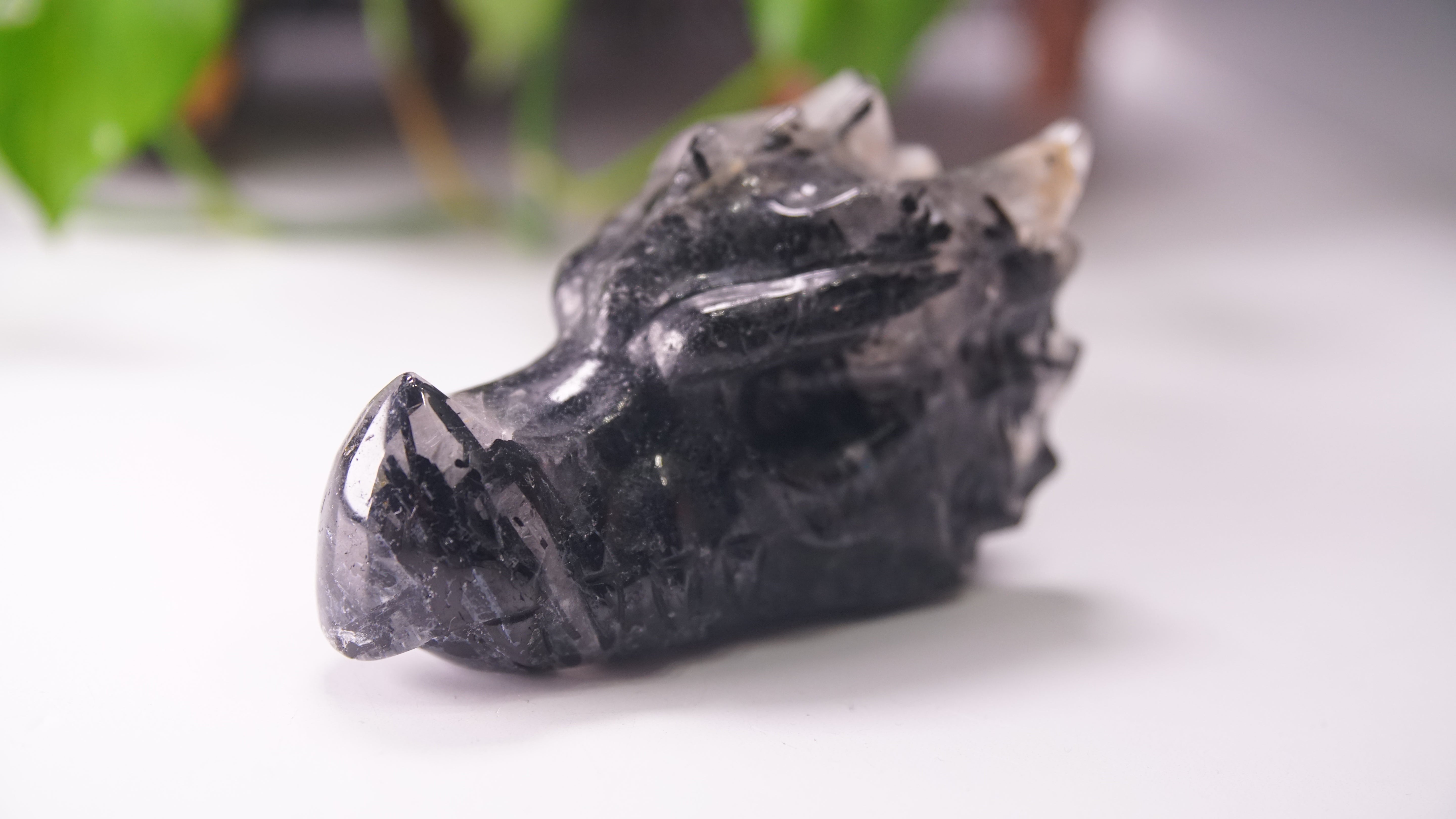 Gorgeous Black Tourmaline In Quartz Dragon Skull