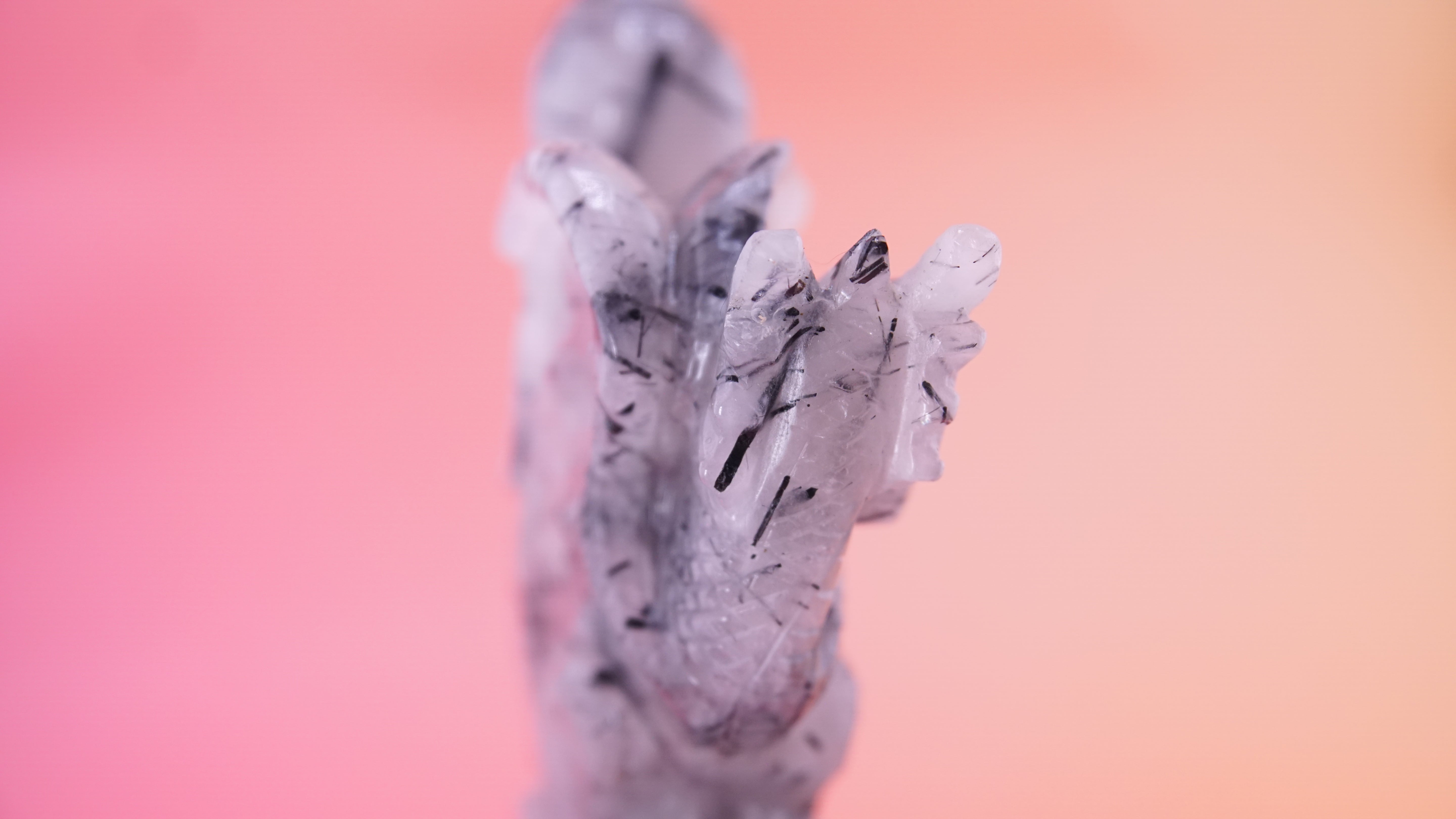 Gorgeous Black Tourmaline In Quartz Dragon With Castle