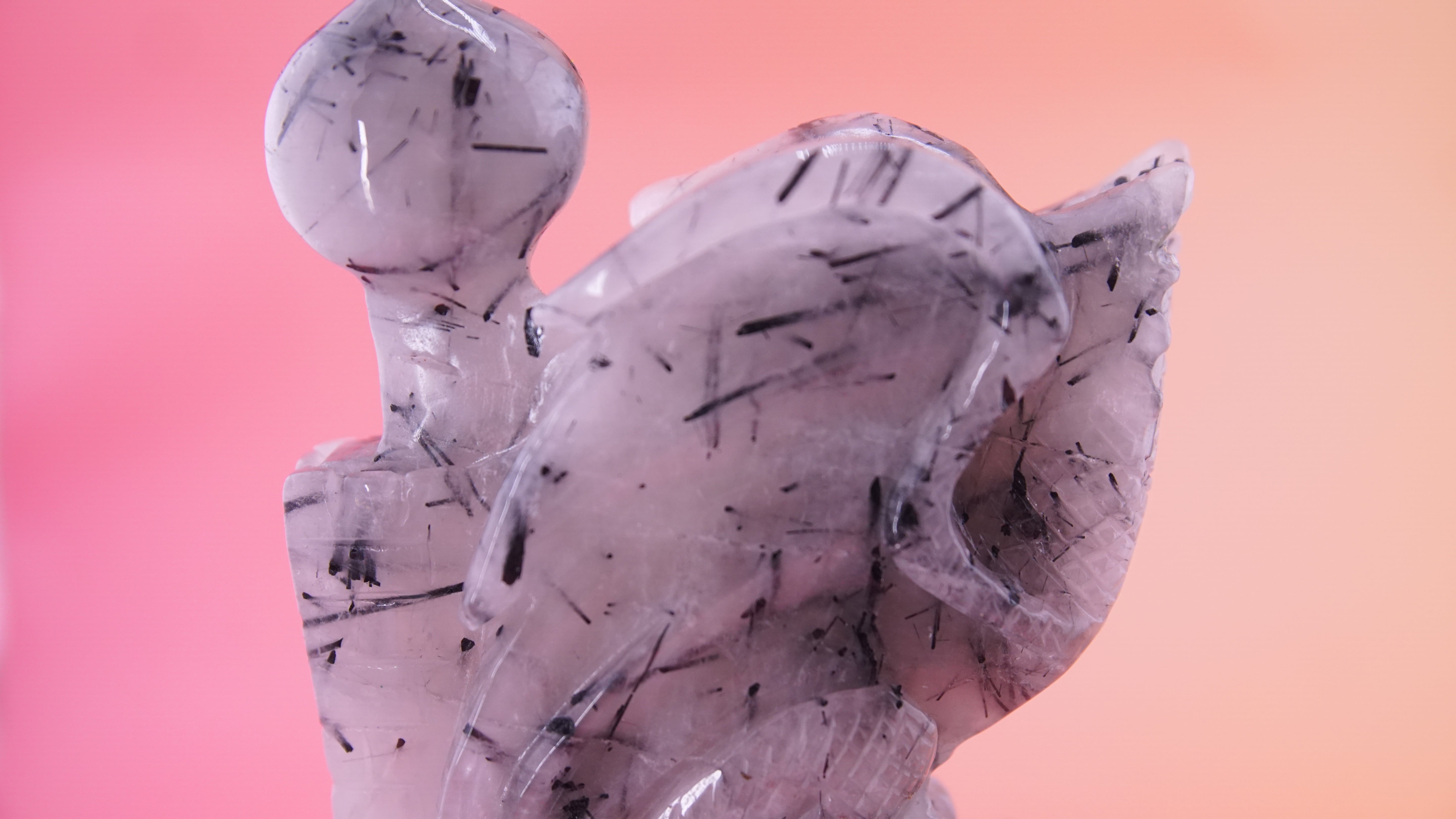 Gorgeous Black Tourmaline In Quartz Dragon With Castle