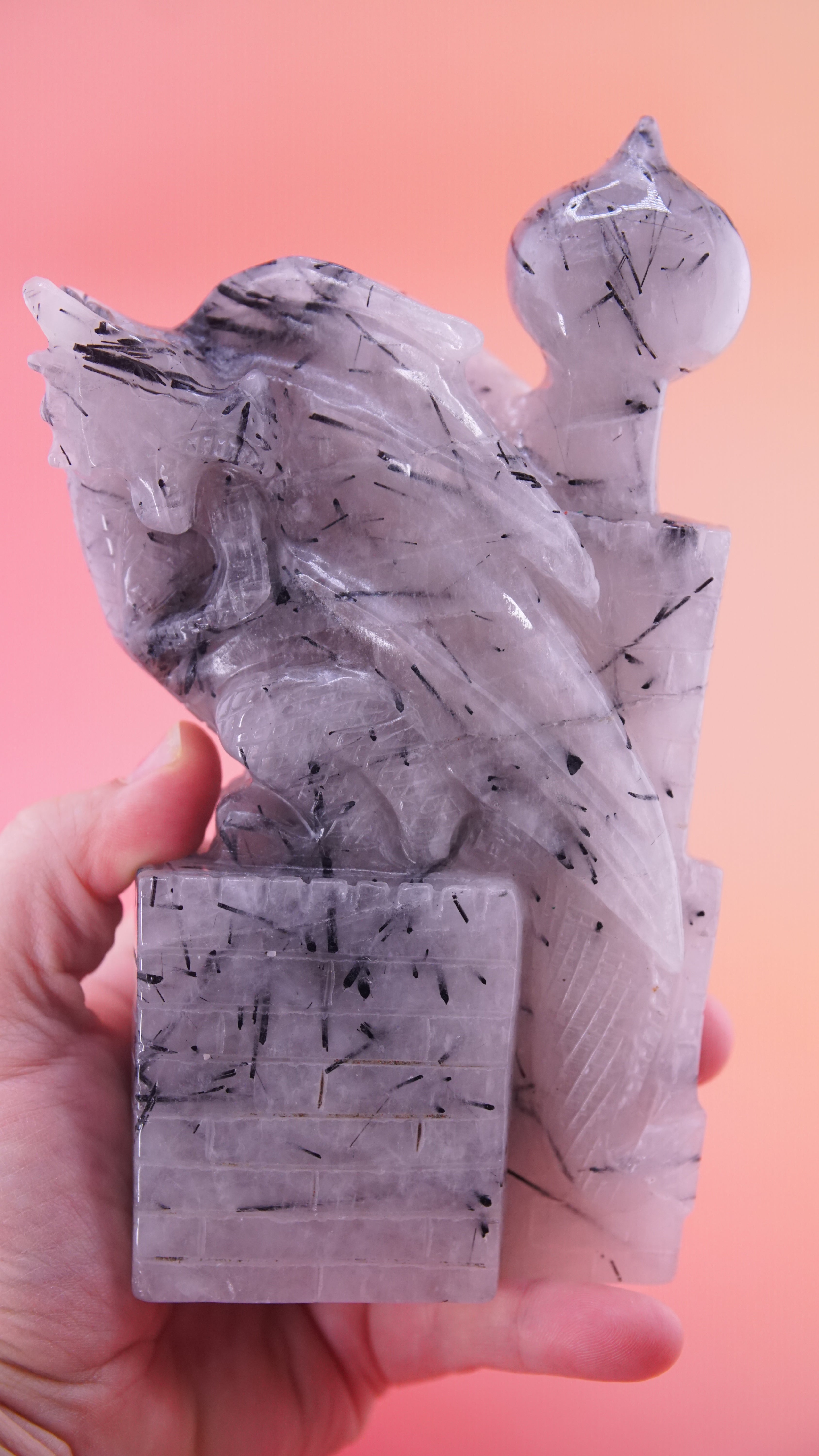 Gorgeous Black Tourmaline In Quartz Dragon With Castle