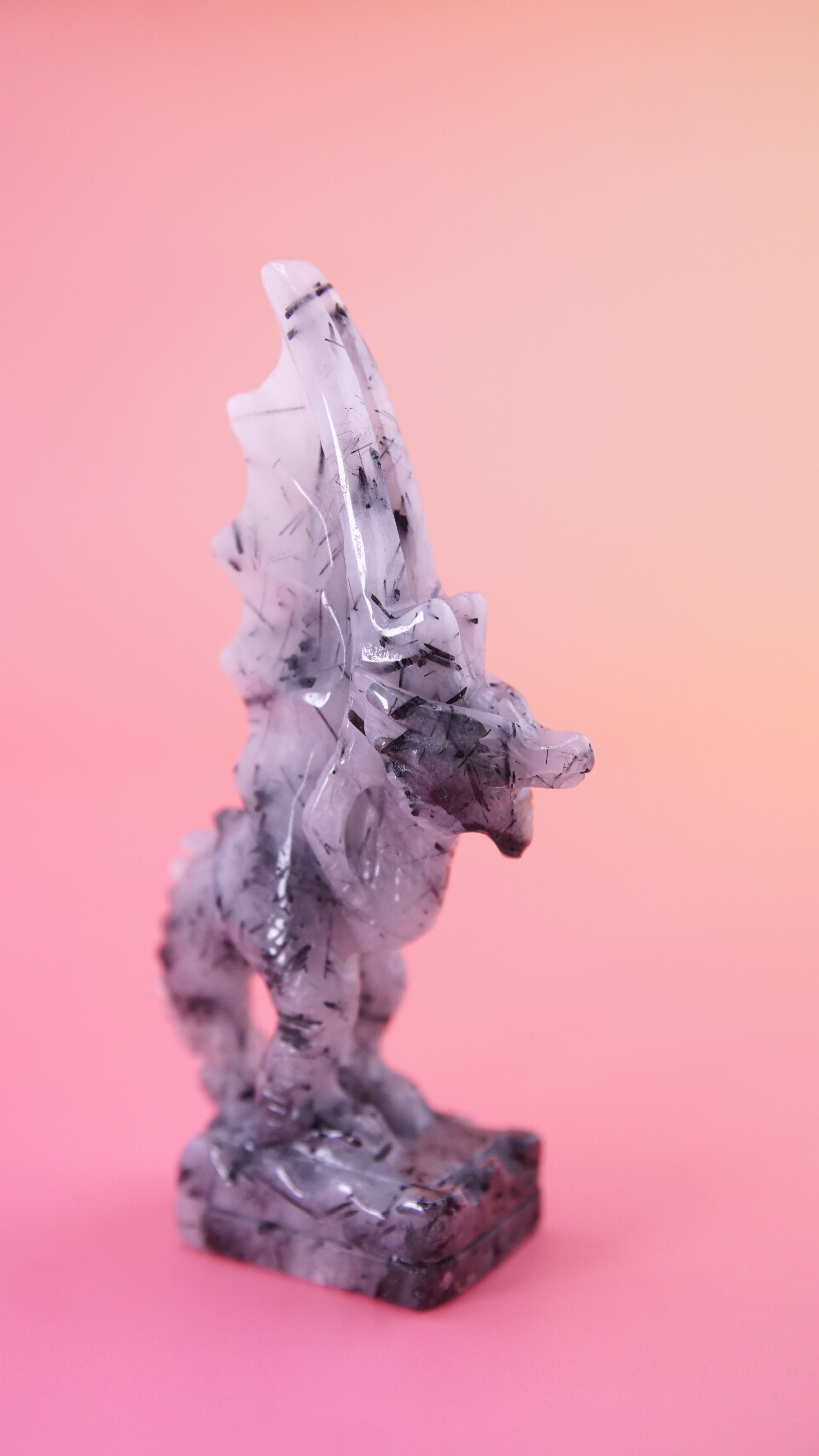 Gorgeous Black Tourmaline In Quartz Dragon With Castle