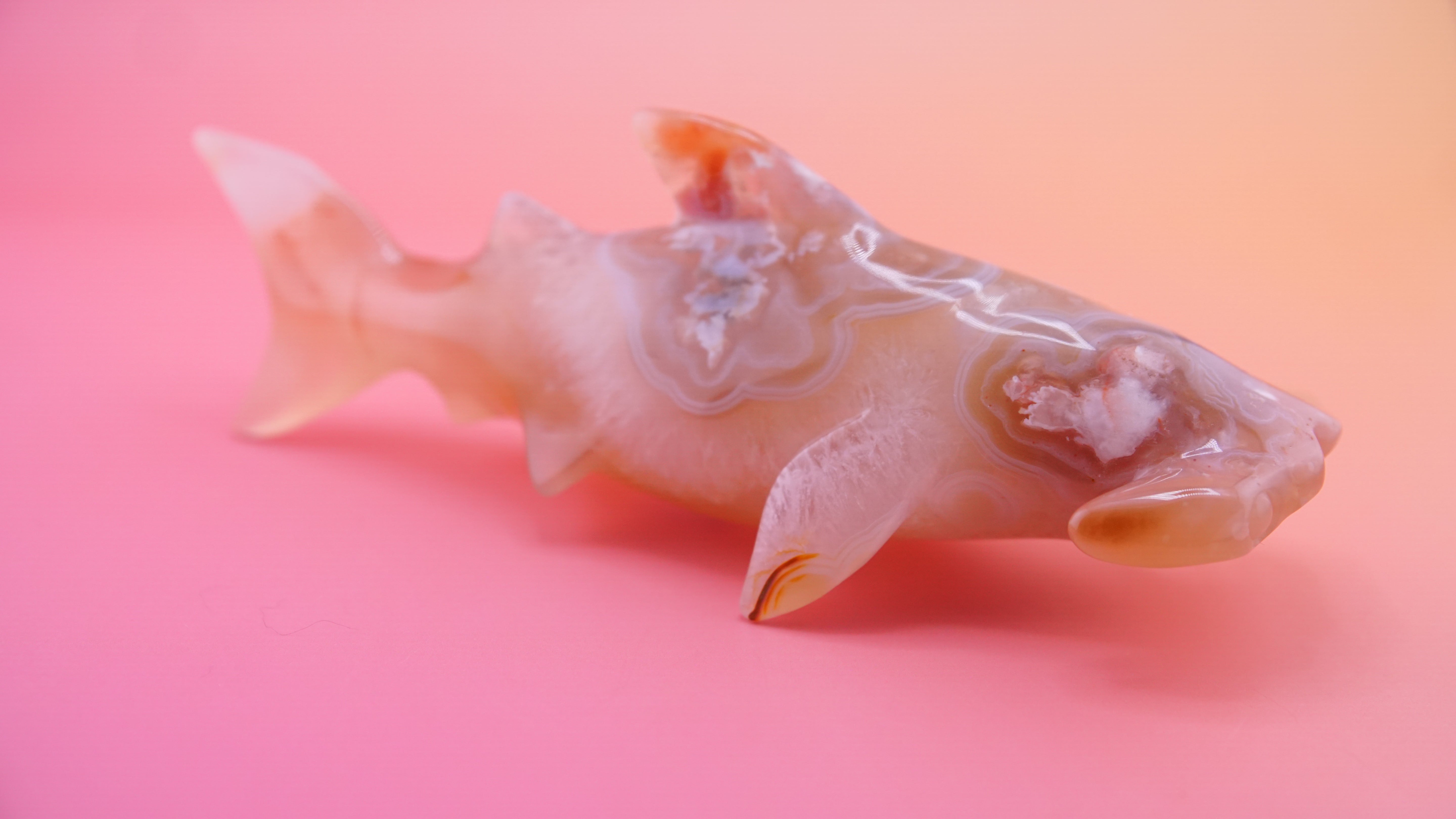 Flower Agate Hammerhead Shark Boutique Carving