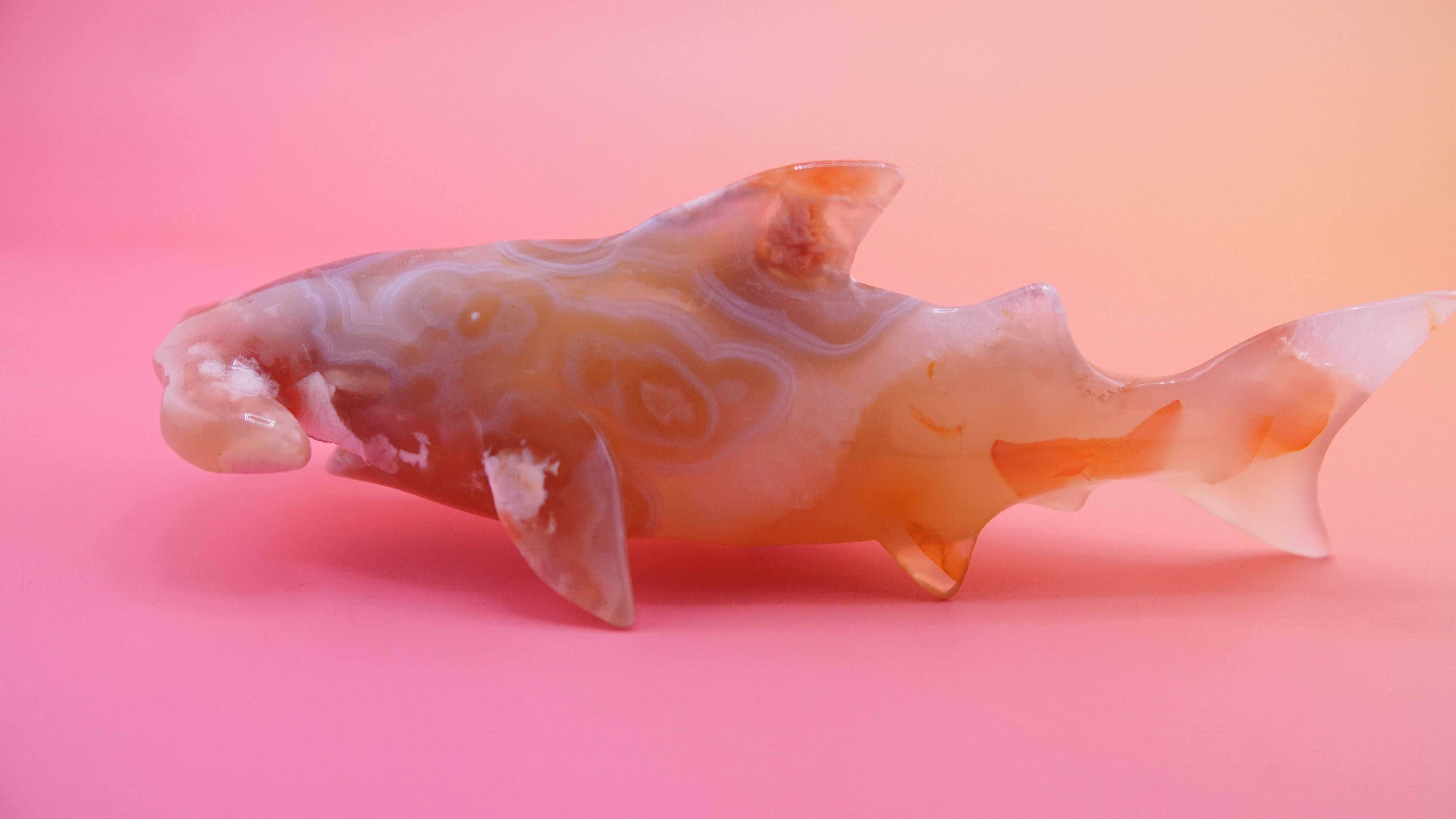 Flower Agate Hammerhead Shark Boutique Carving