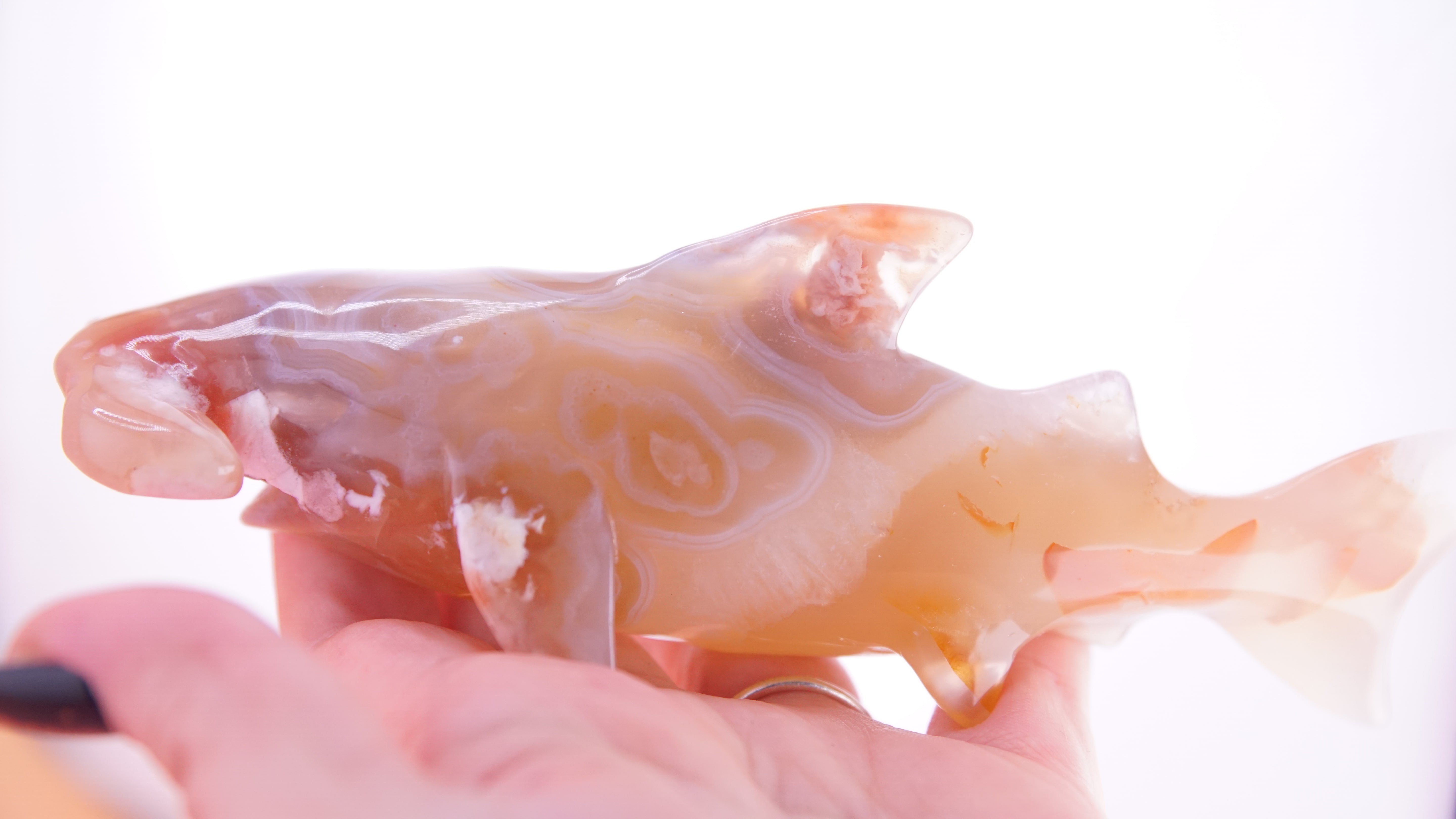 Flower Agate Hammerhead Shark Boutique Carving