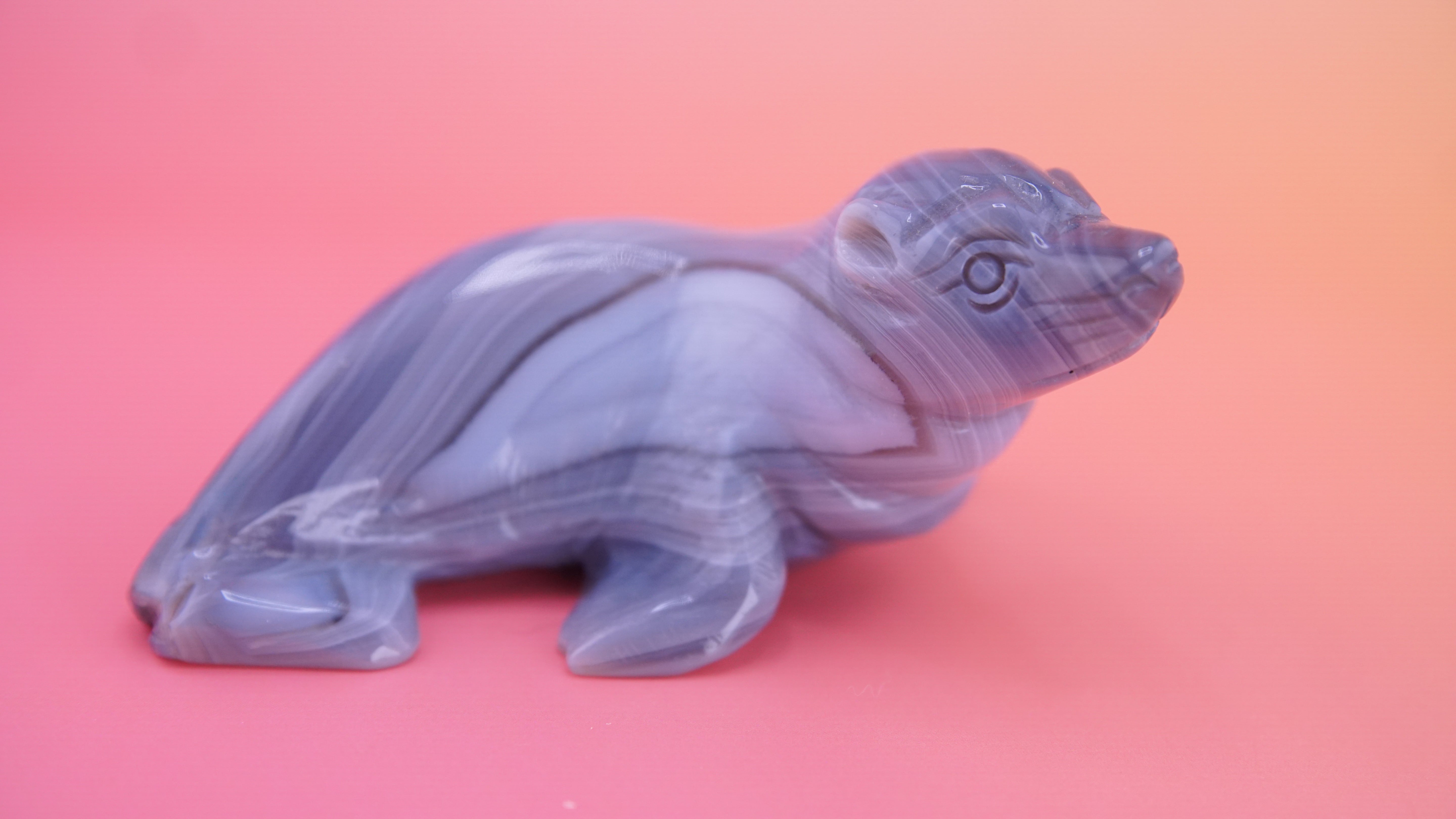 Hand Carved Banded Seal | Boutique Quality Carving | Crystal Decor
