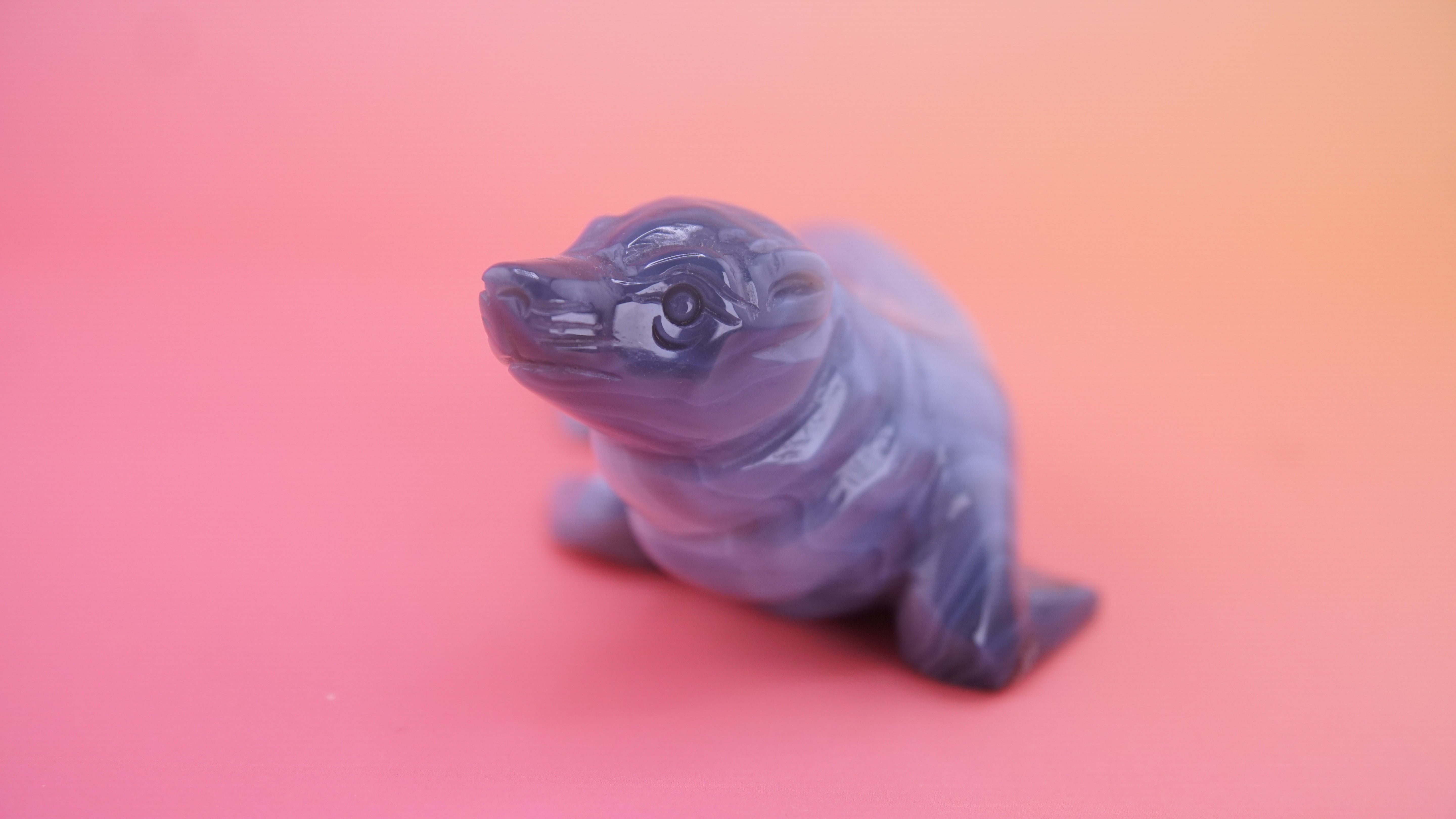 Hand Carved Banded Seal | Boutique Quality Carving | Crystal Decor