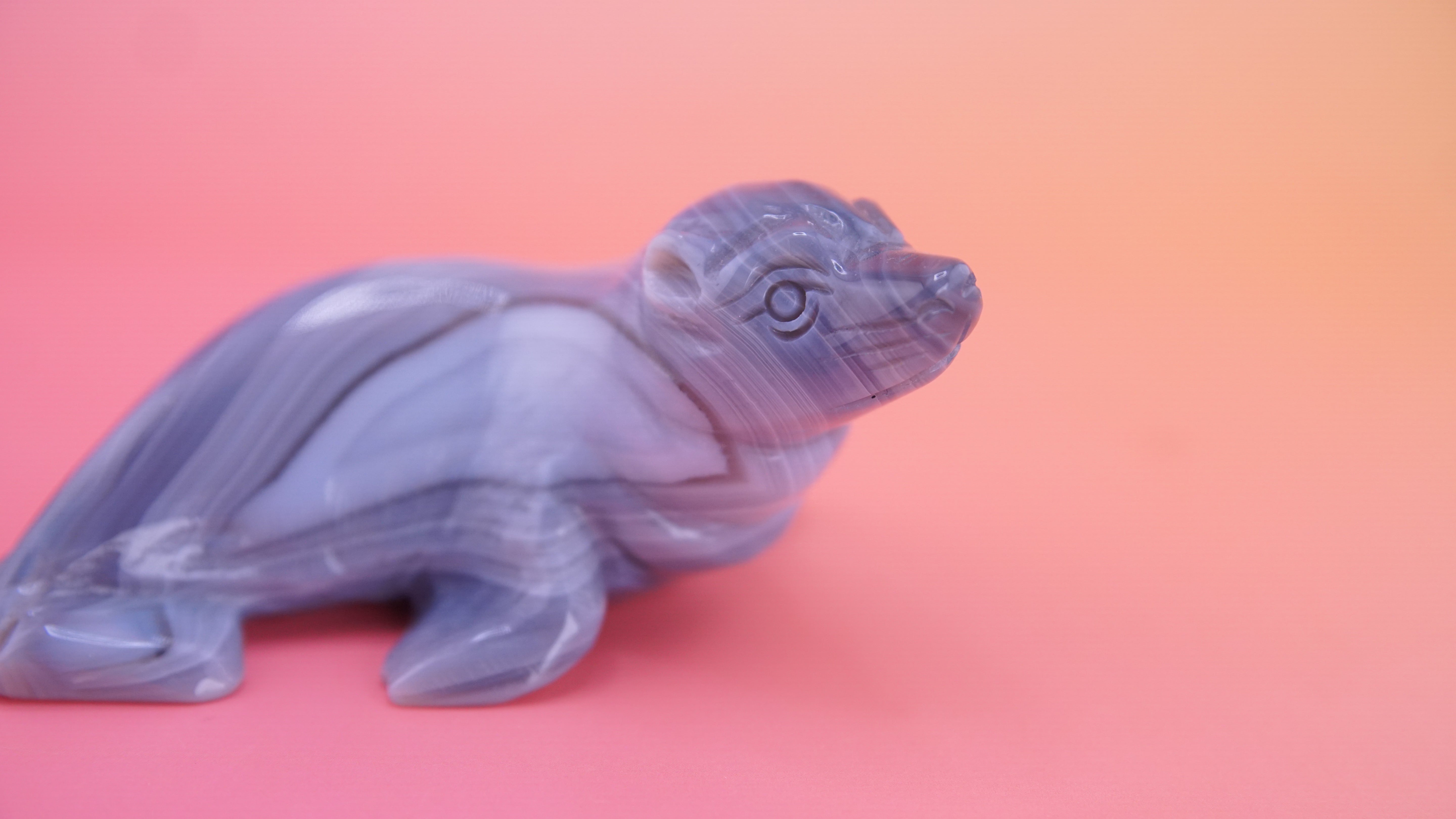 Hand Carved Banded Seal | Boutique Quality Carving | Crystal Decor
