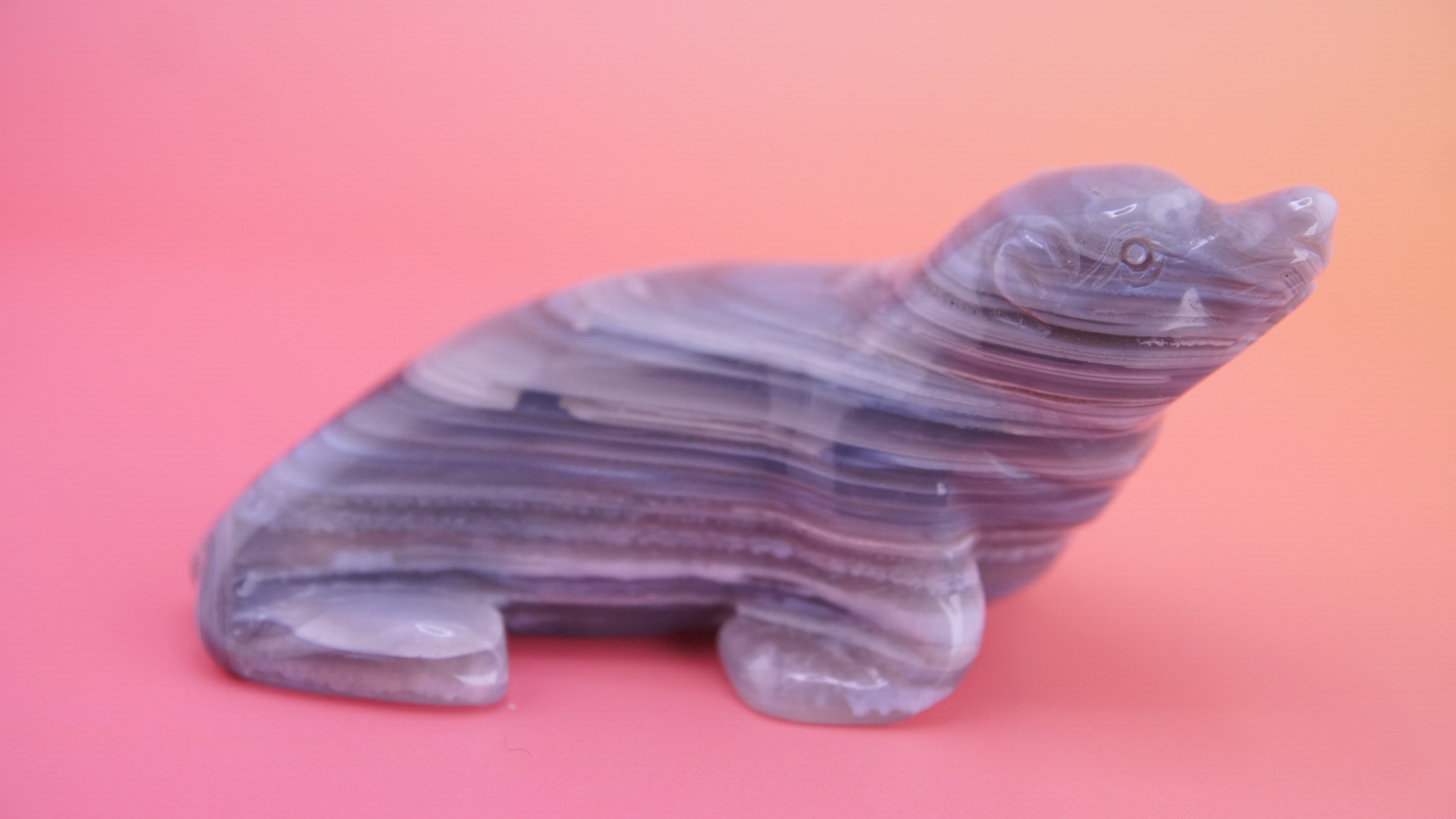 Hand Carved Banded Seal | Boutique Quality Carving | Crystal Decor