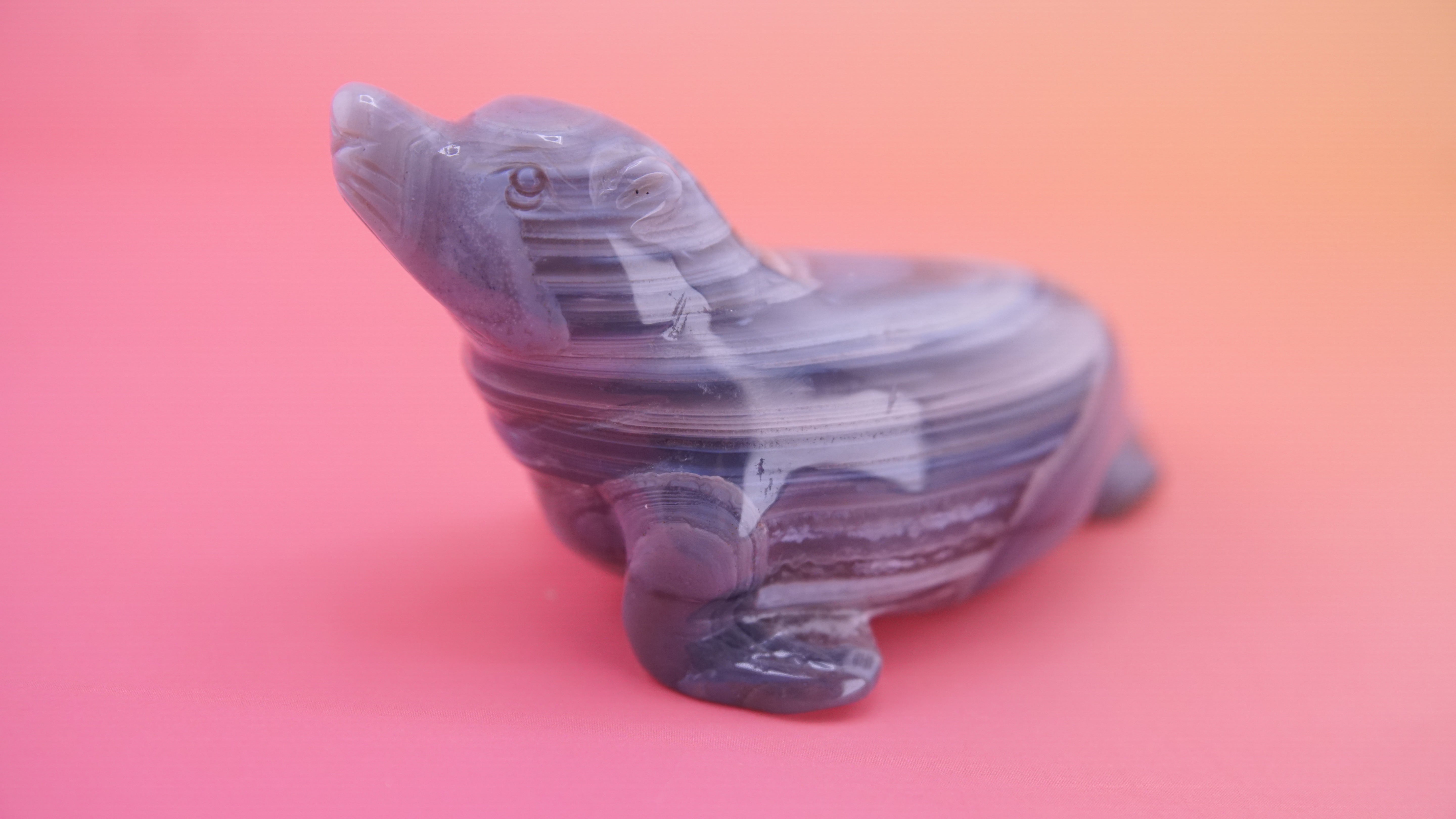 Hand Carved Banded Seal | Boutique Quality Carving | Crystal Decor