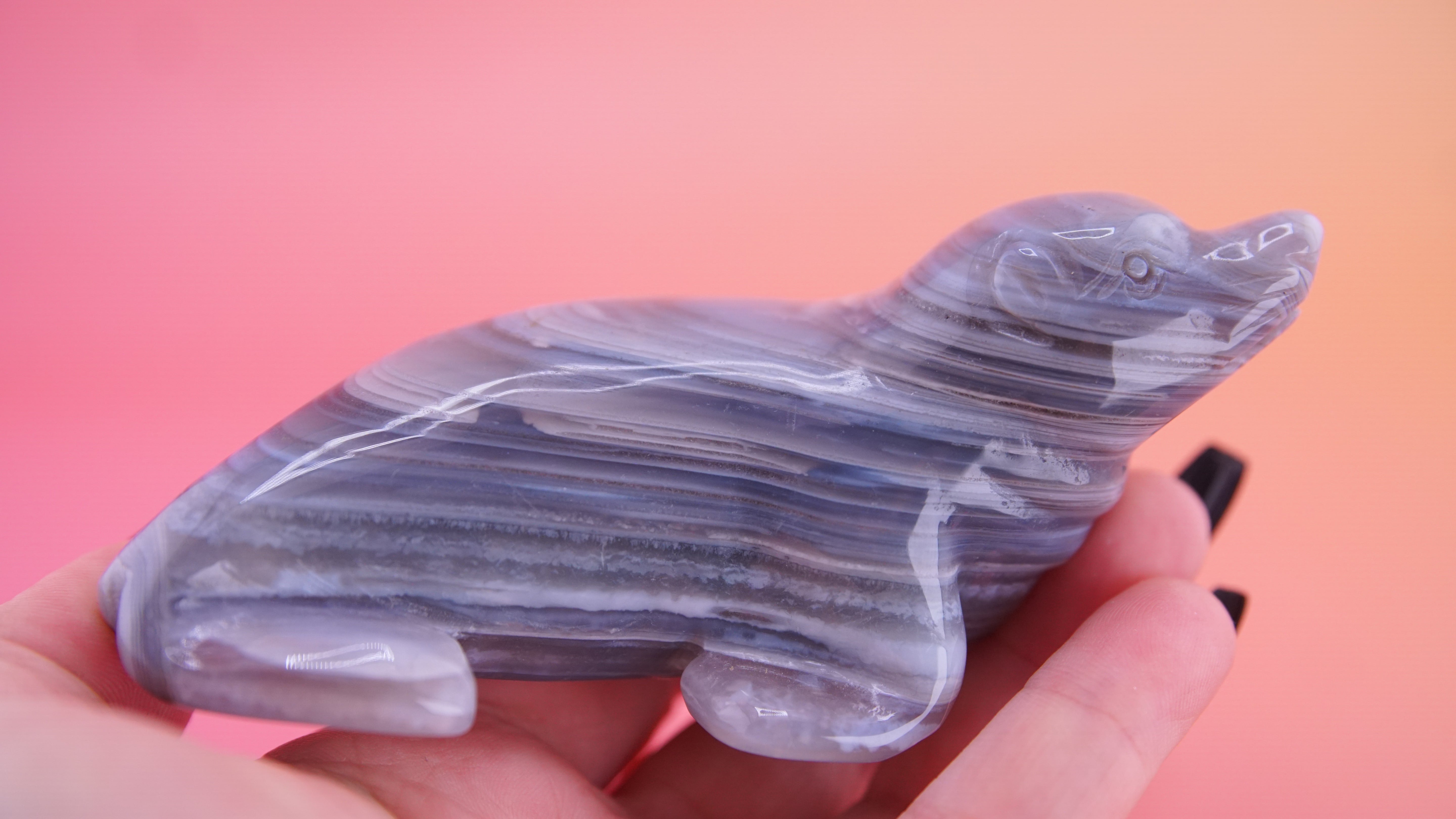 Hand Carved Banded Seal | Boutique Quality Carving | Crystal Decor
