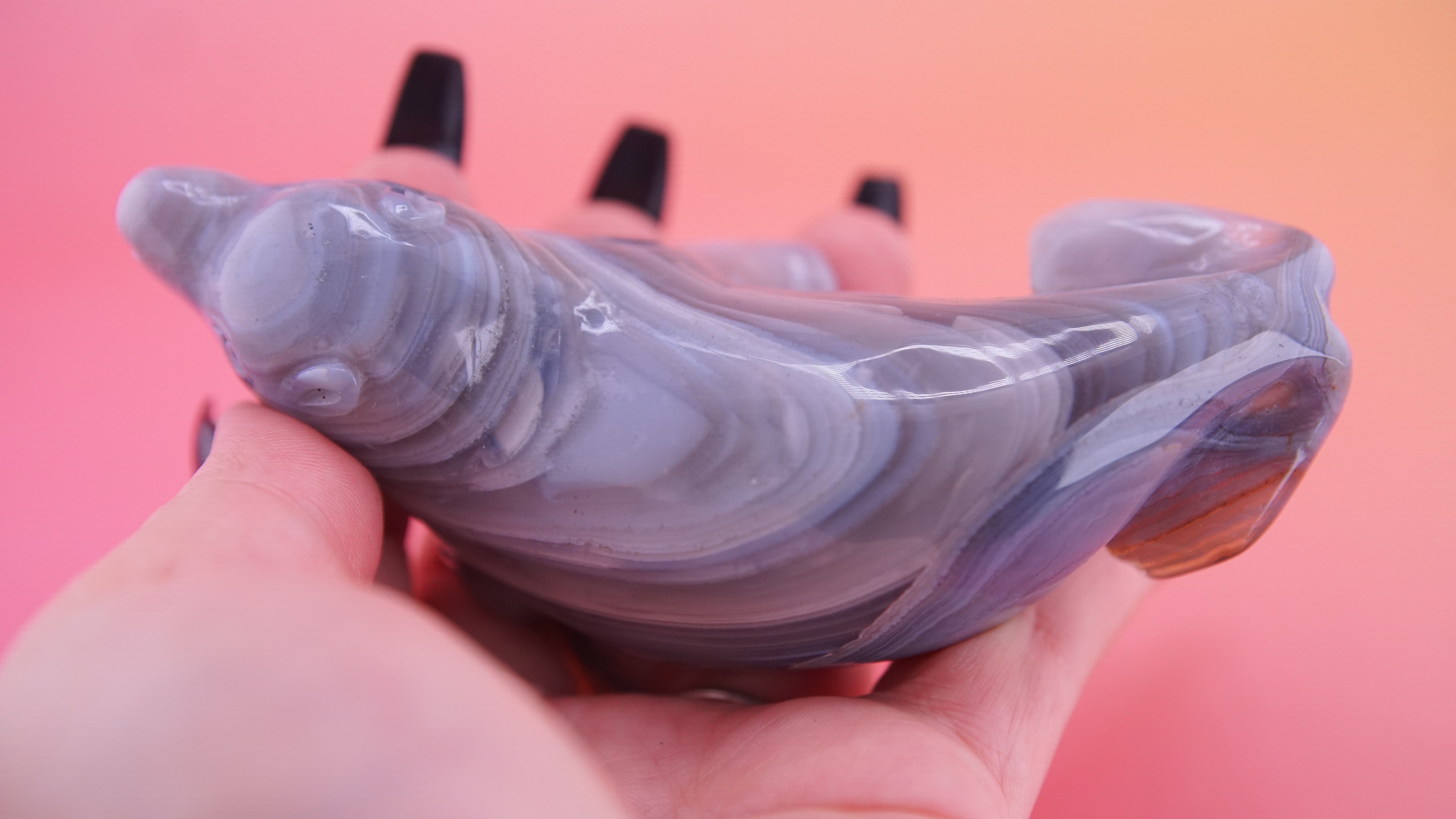 Hand Carved Banded Seal | Boutique Quality Carving | Crystal Decor