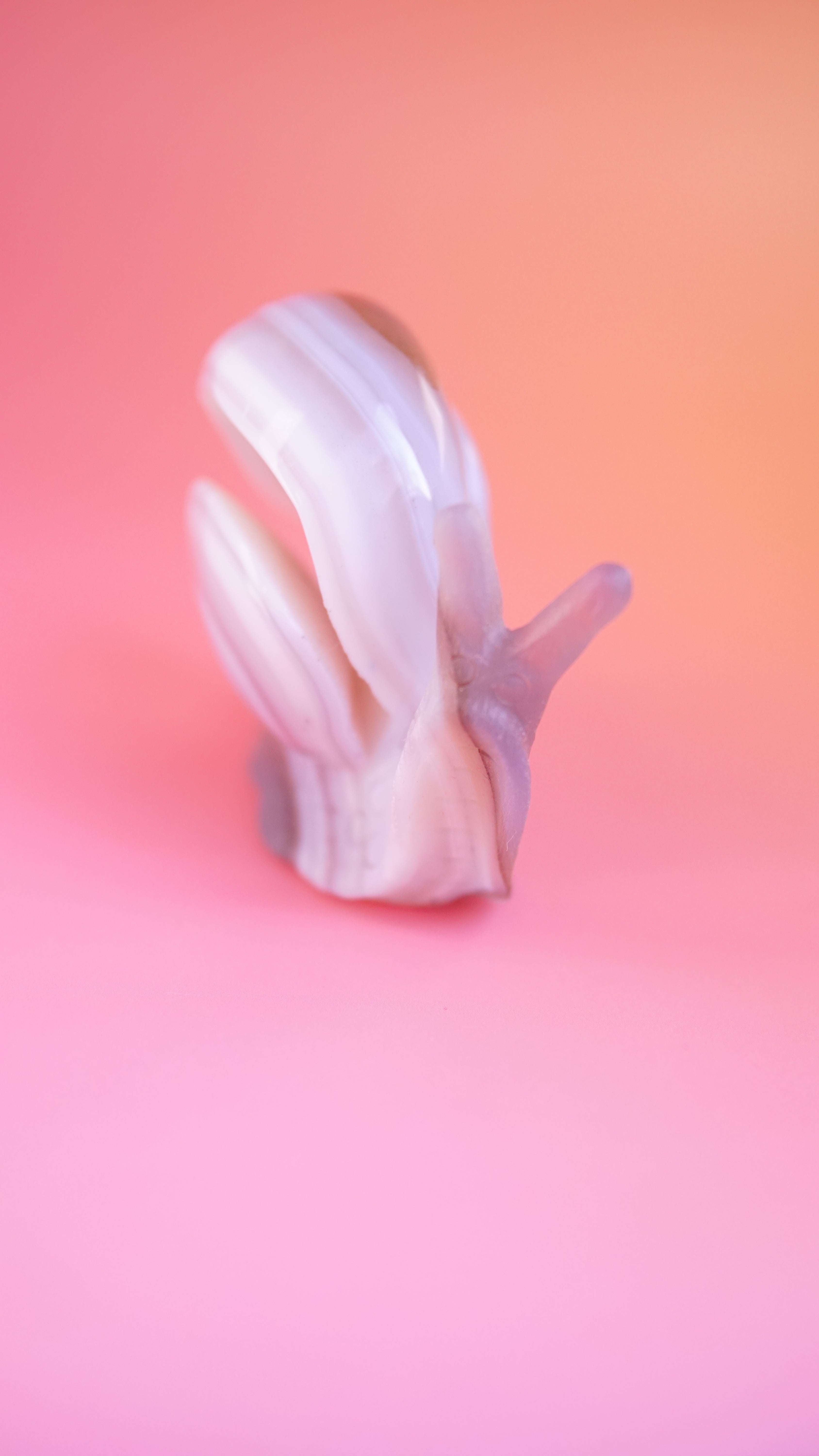 Gorgeous Agate Boutique Snail Carving | Crystal Carving Statement Piece