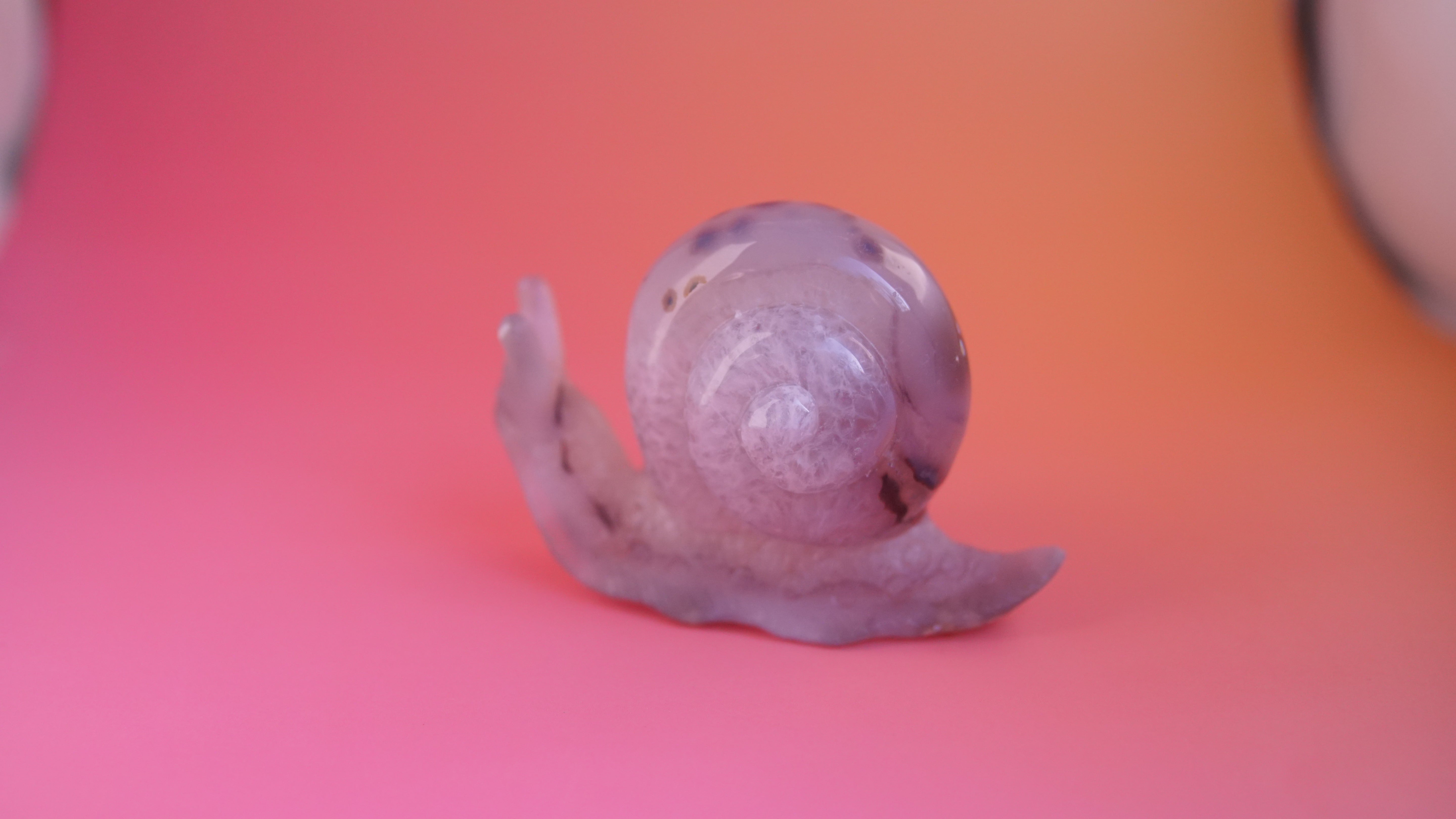 Gorgeous Agate Boutique Snail Carving | Crystal Carving Statement Piece