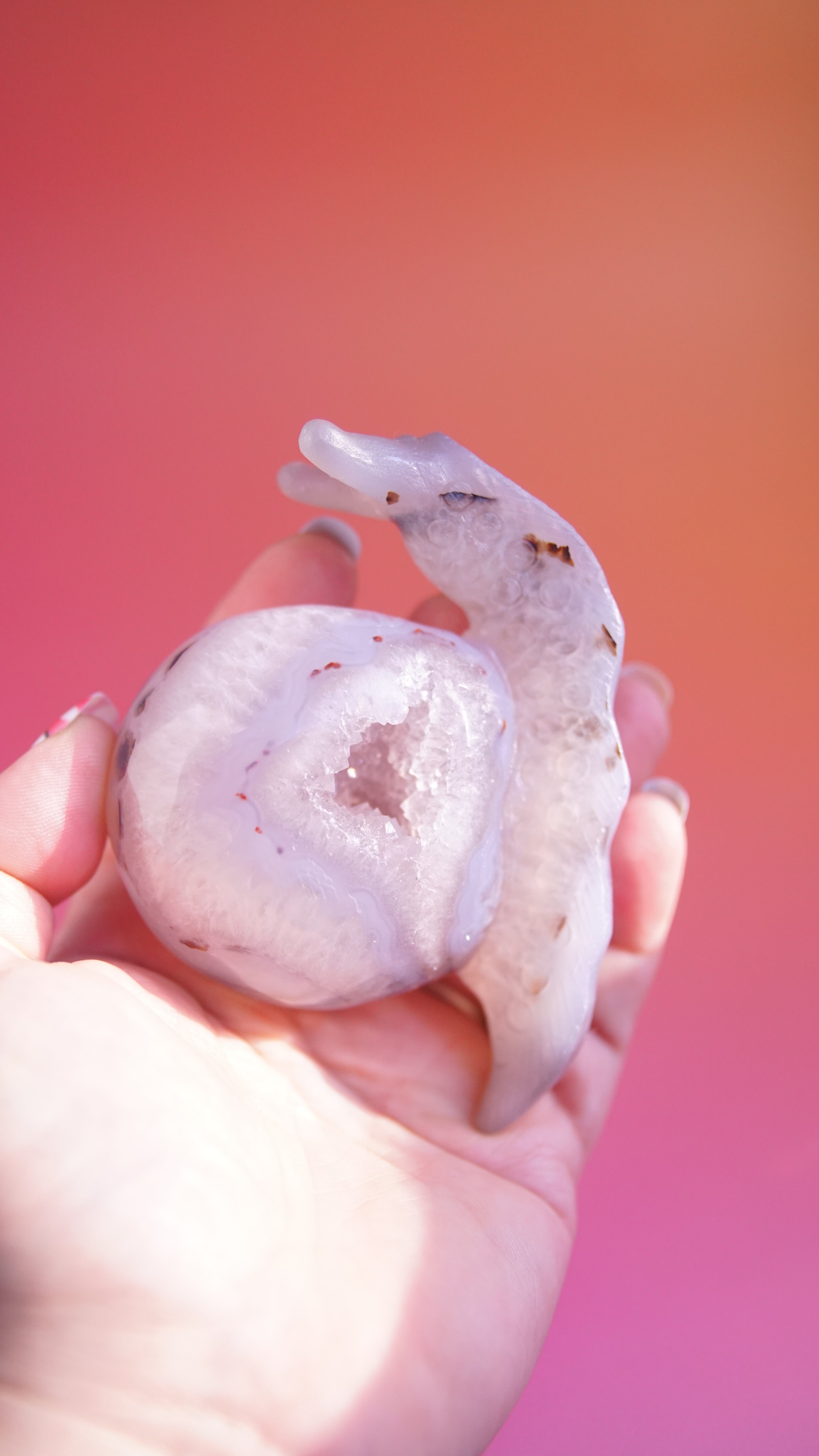 Gorgeous Agate Boutique Snail Carving | Crystal Carving Statement Piece