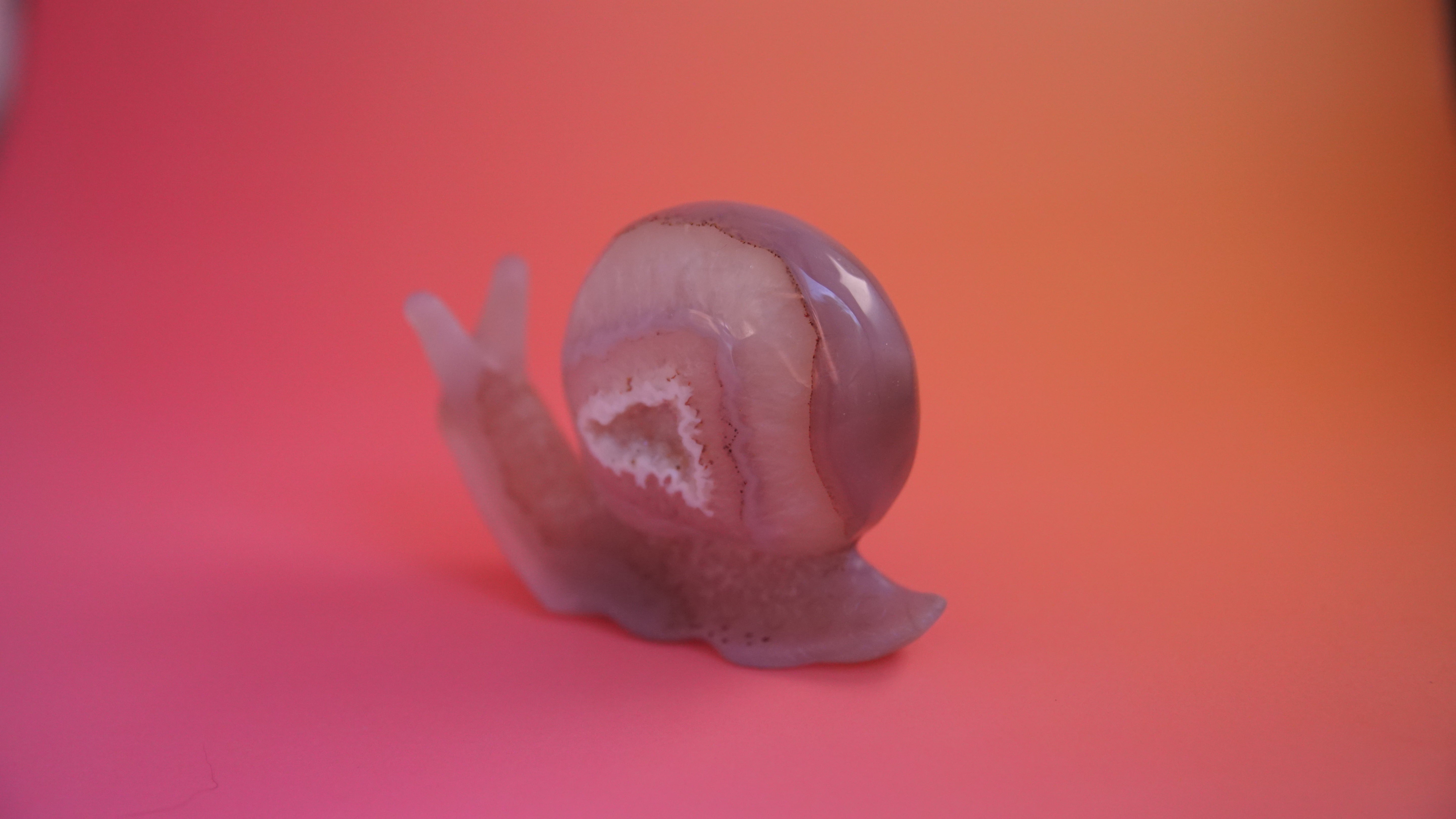 Gorgeous Agate Boutique Snail Carving | Crystal Carving Statement Piece