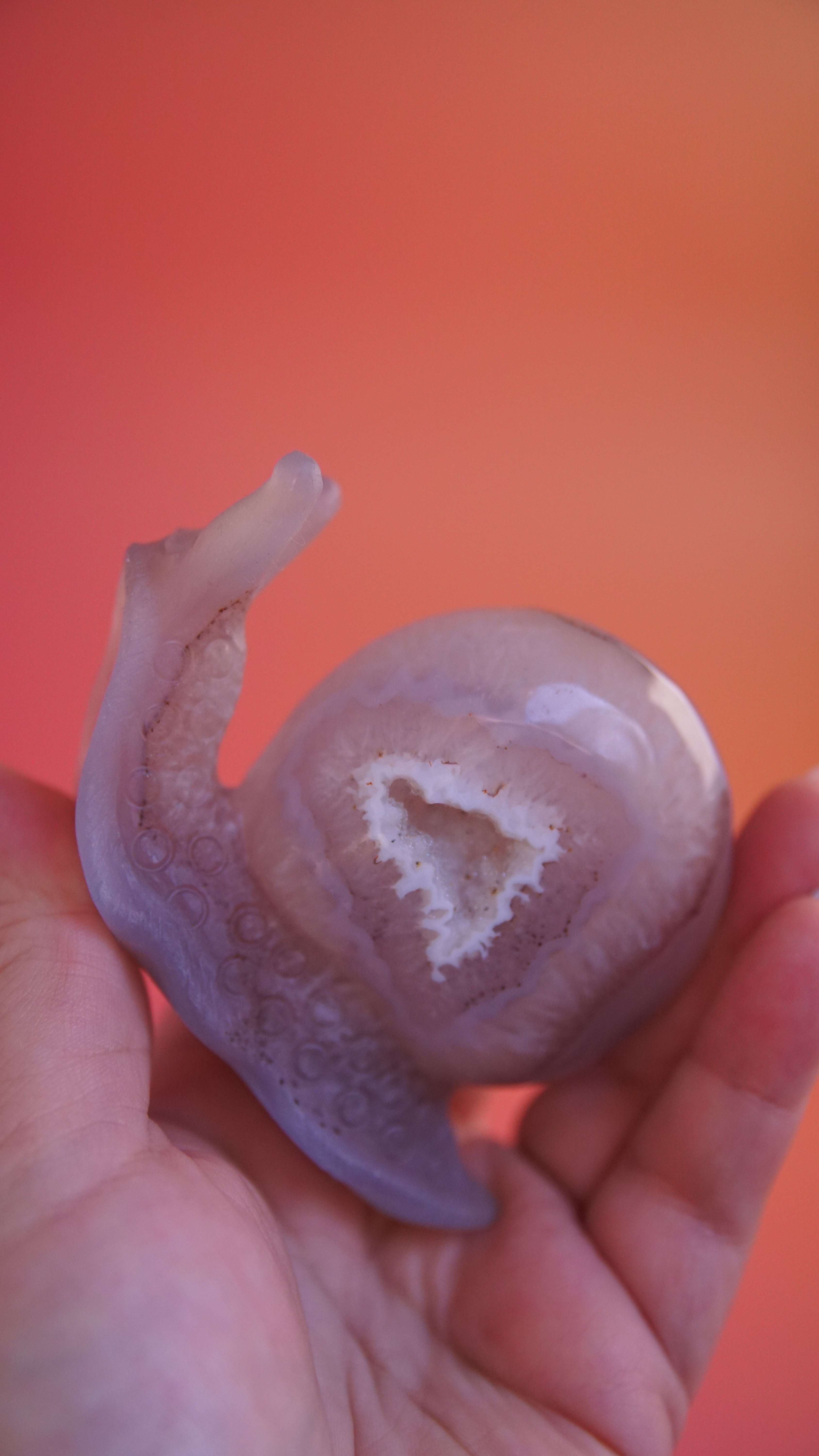 Gorgeous Agate Boutique Snail Carving | Crystal Carving Statement Piece