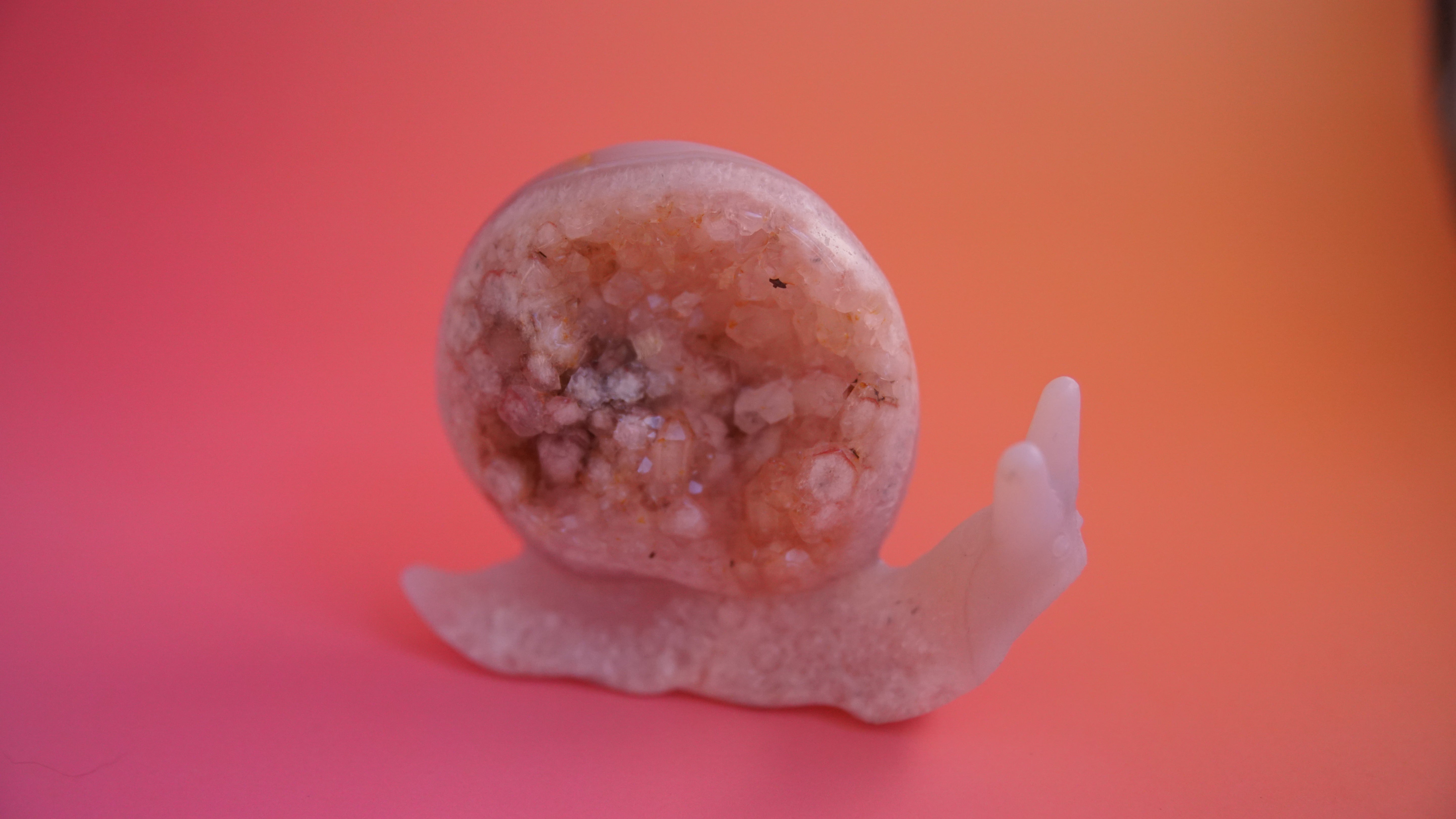 Gorgeous Agate Boutique Snail Carving | Crystal Carving Statement Piece