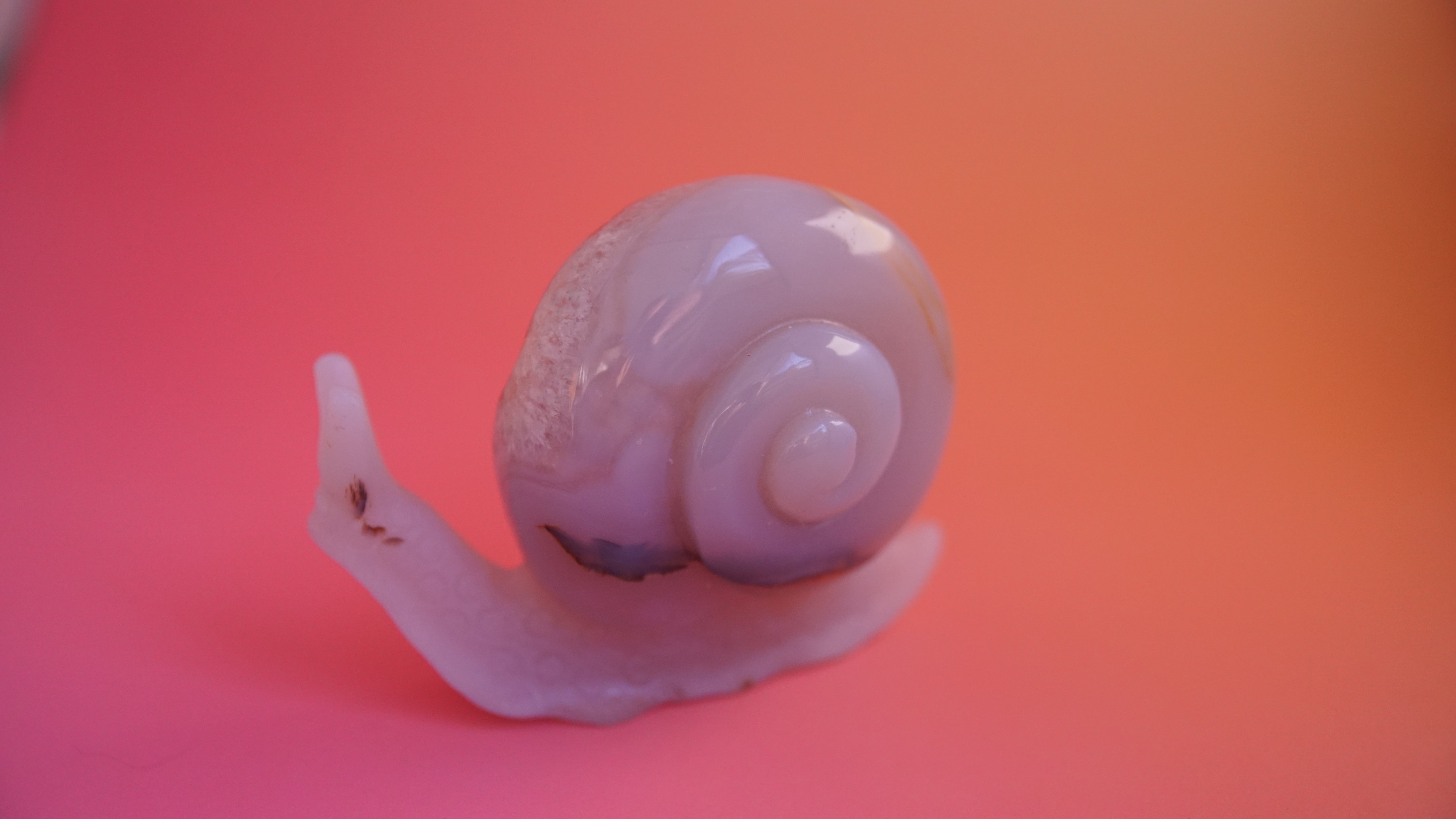 Gorgeous Agate Boutique Snail Carving | Crystal Carving Statement Piece