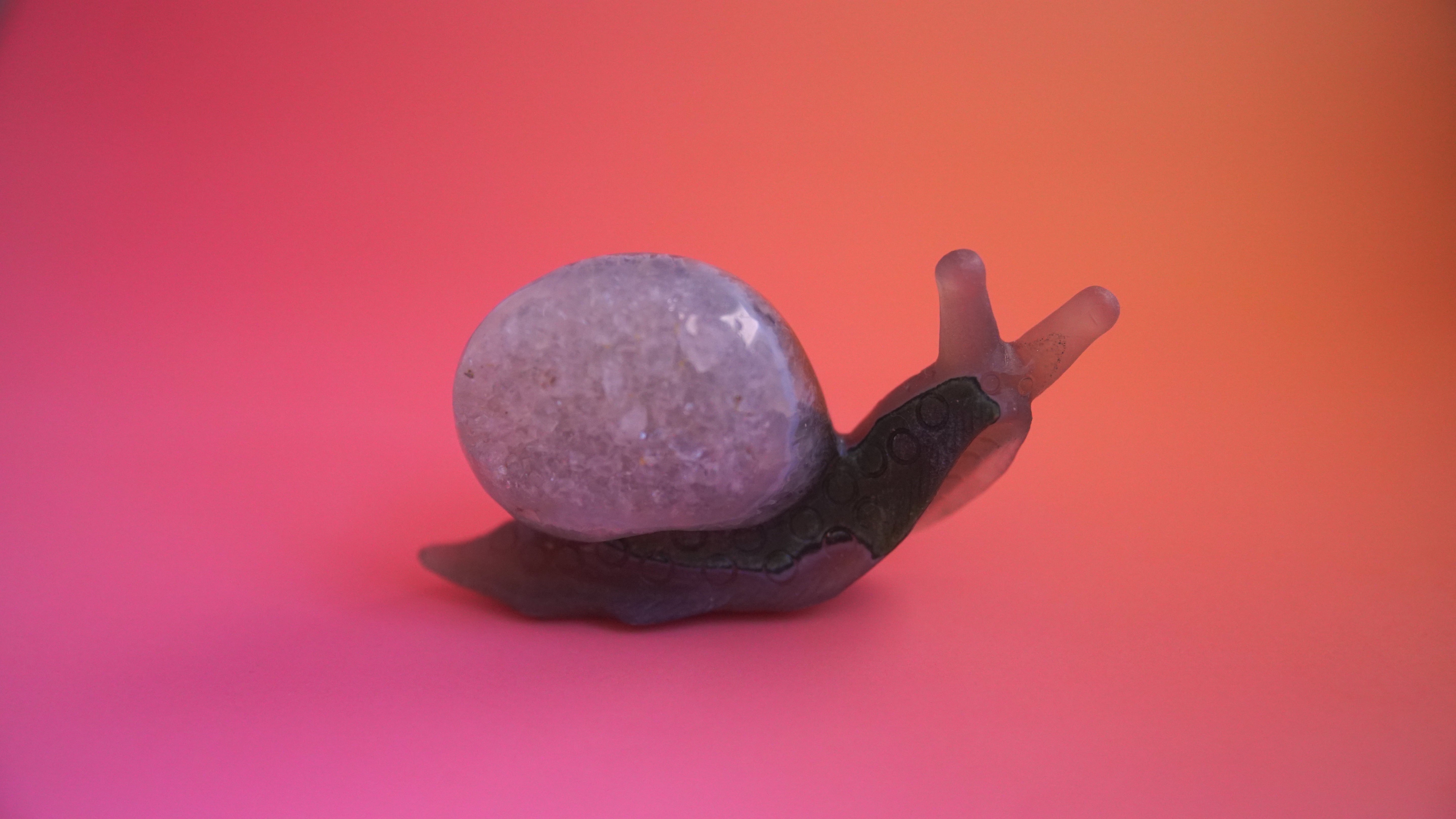 Gorgeous Agate Boutique Snail Carving | Crystal Carving Statement Piece