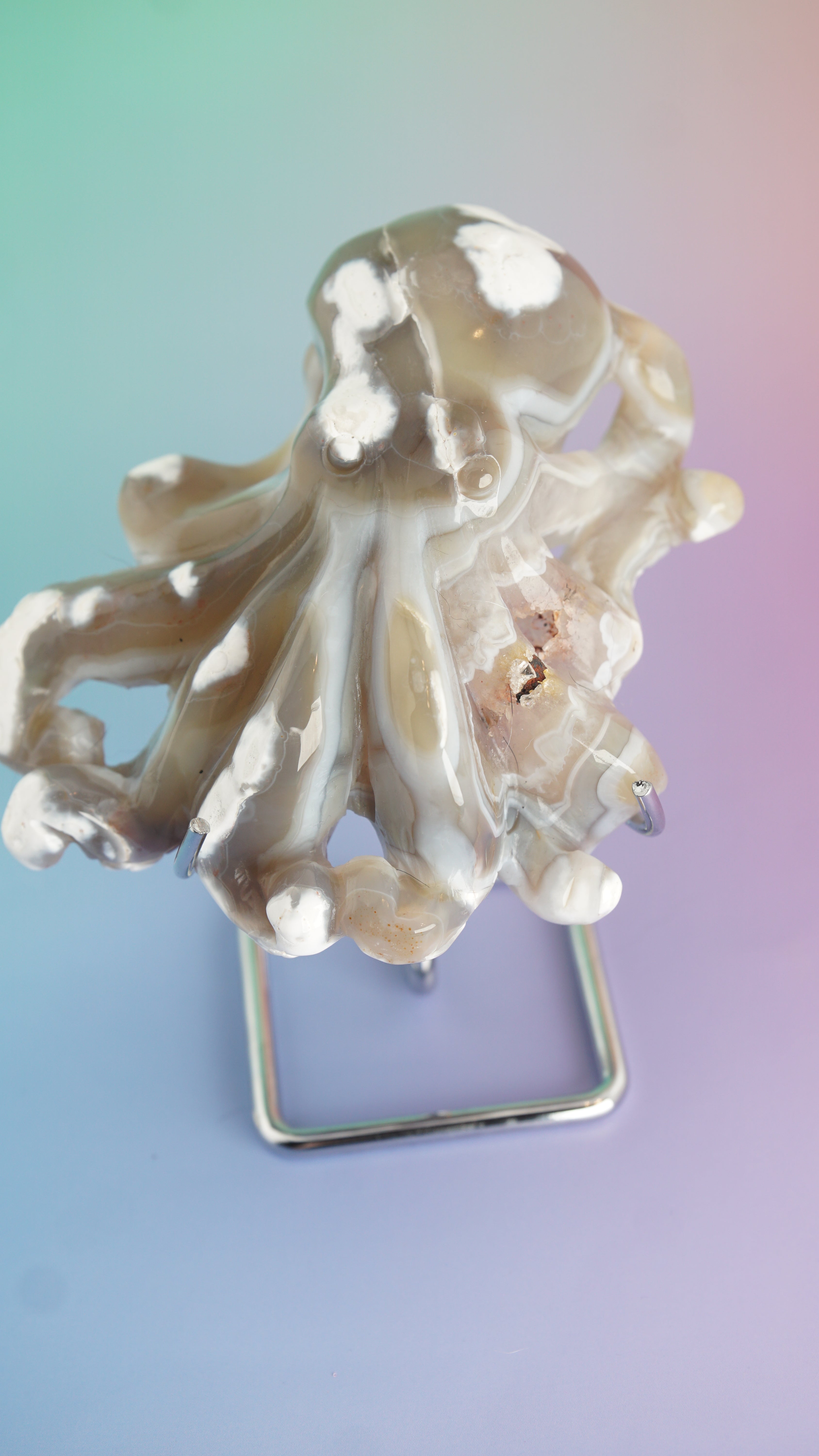Druzy Orca Agate With Amethyst Octopus Carving (Stand NOT Included)