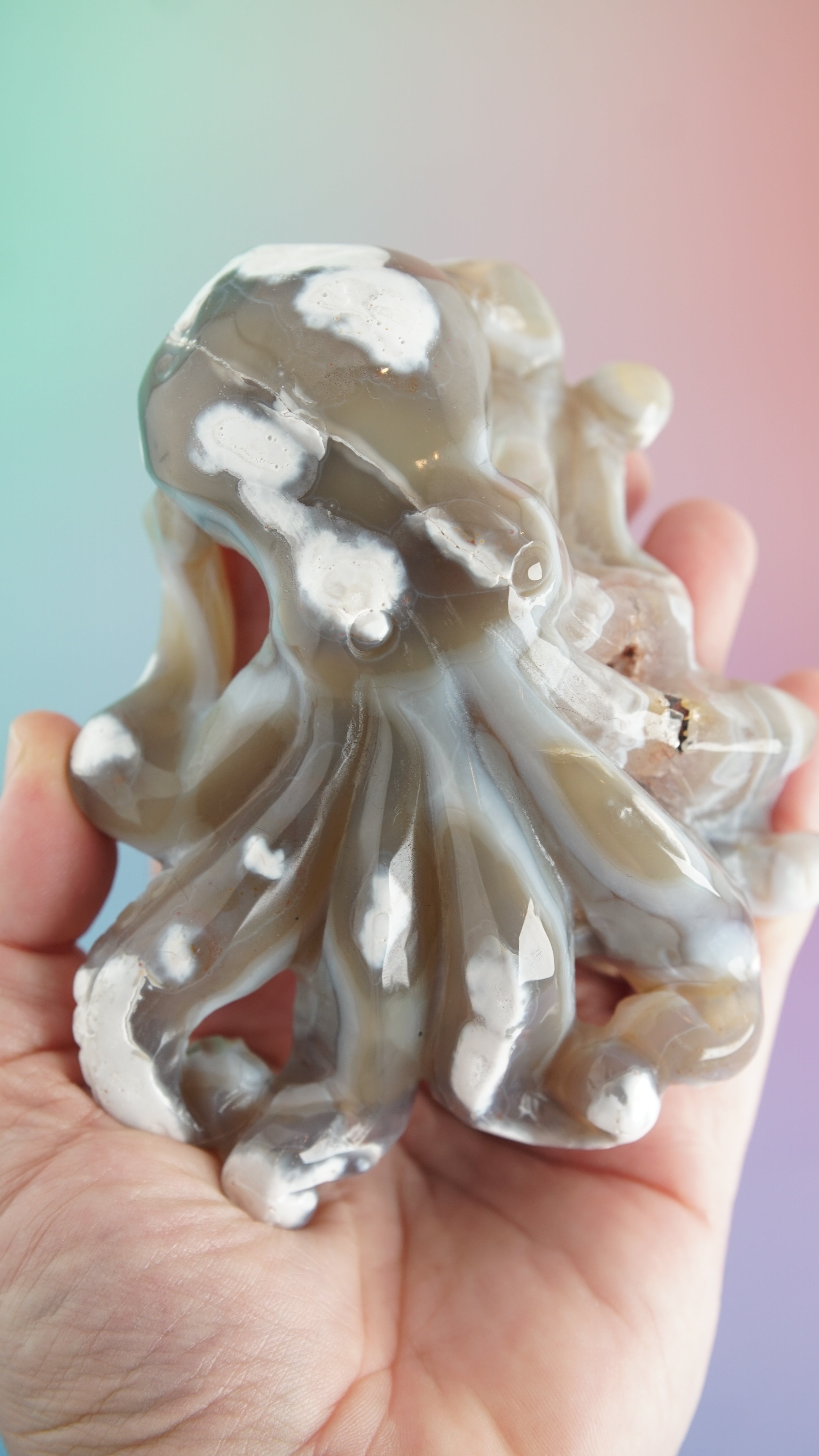 Druzy Orca Agate With Amethyst Octopus Carving (Stand NOT Included)