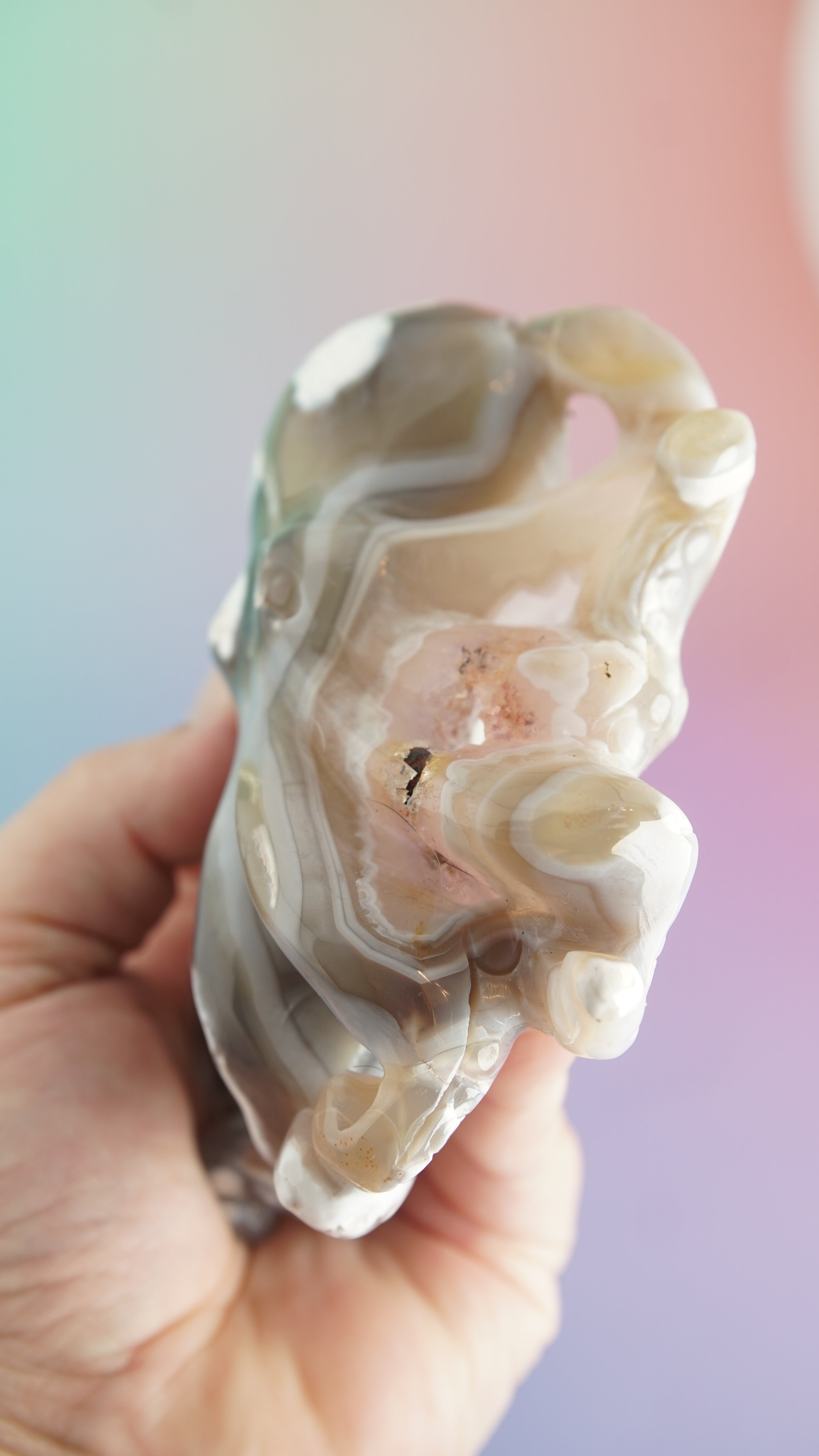 Druzy Orca Agate With Amethyst Octopus Carving (Stand NOT Included)