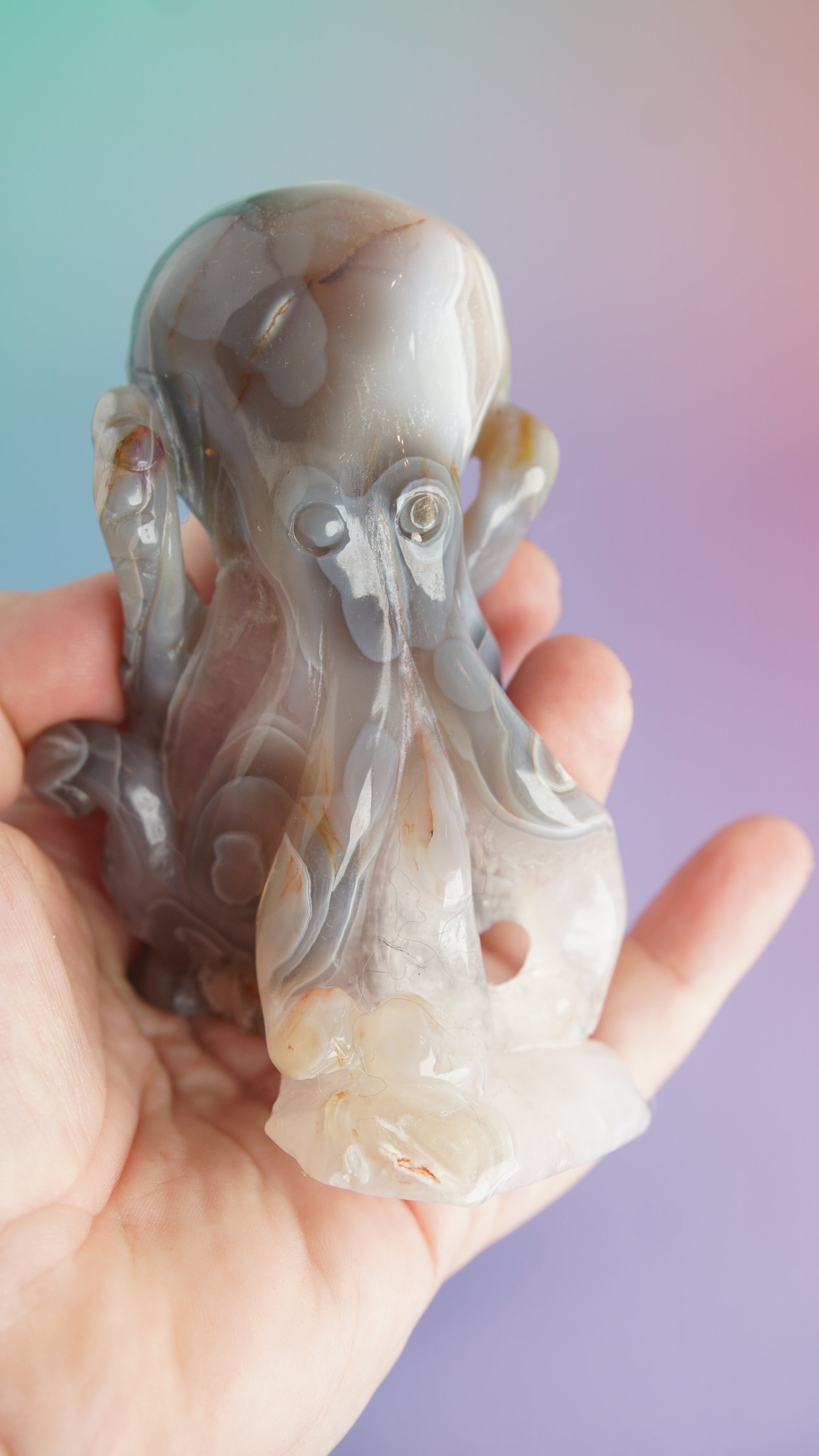 Druzy Orca Agate With Amethyst Octopus Carving