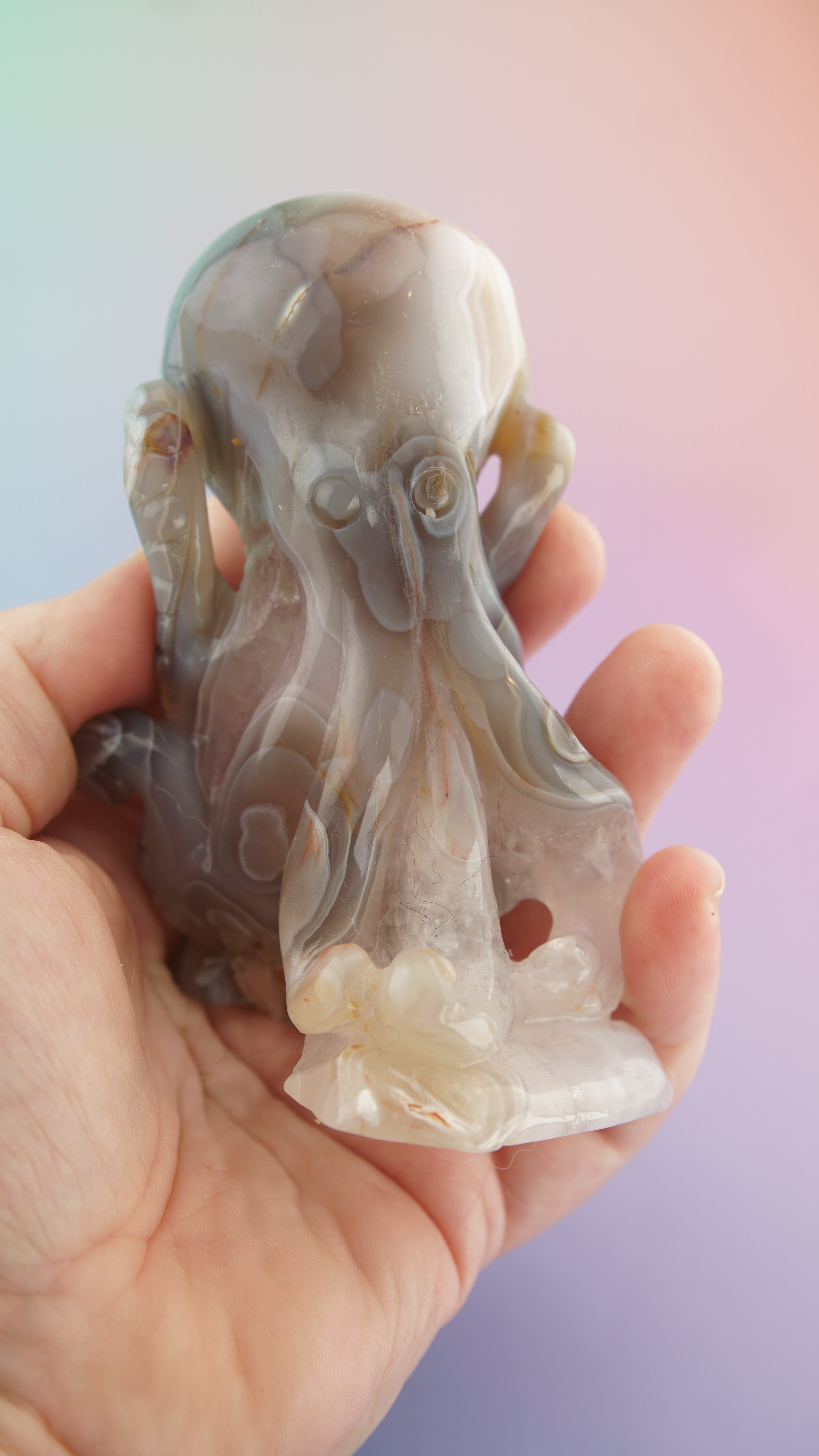 Druzy Orca Agate With Amethyst Octopus Carving