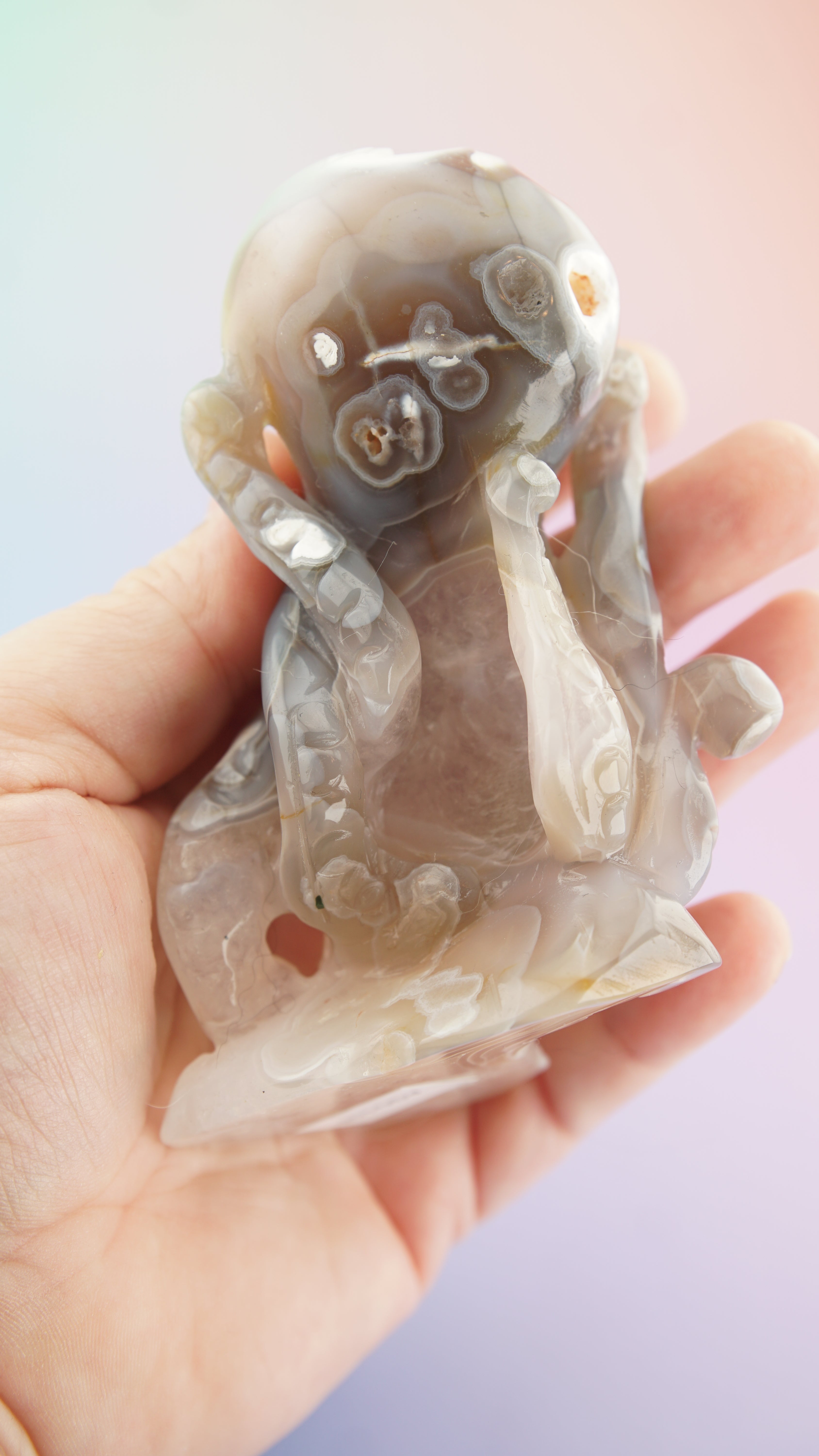 Druzy Orca Agate With Amethyst Octopus Carving