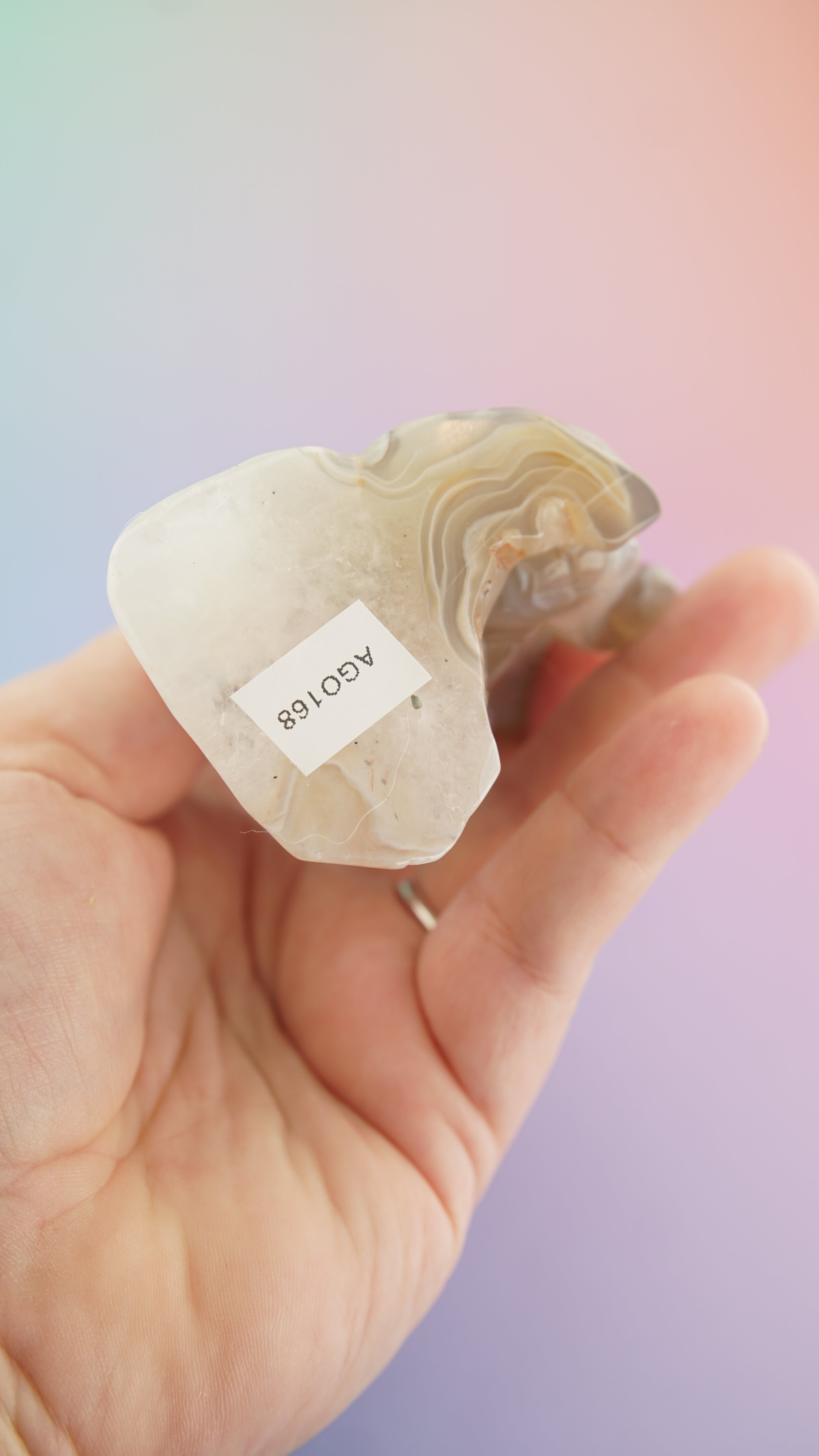 Druzy Orca Agate With Amethyst Octopus Carving