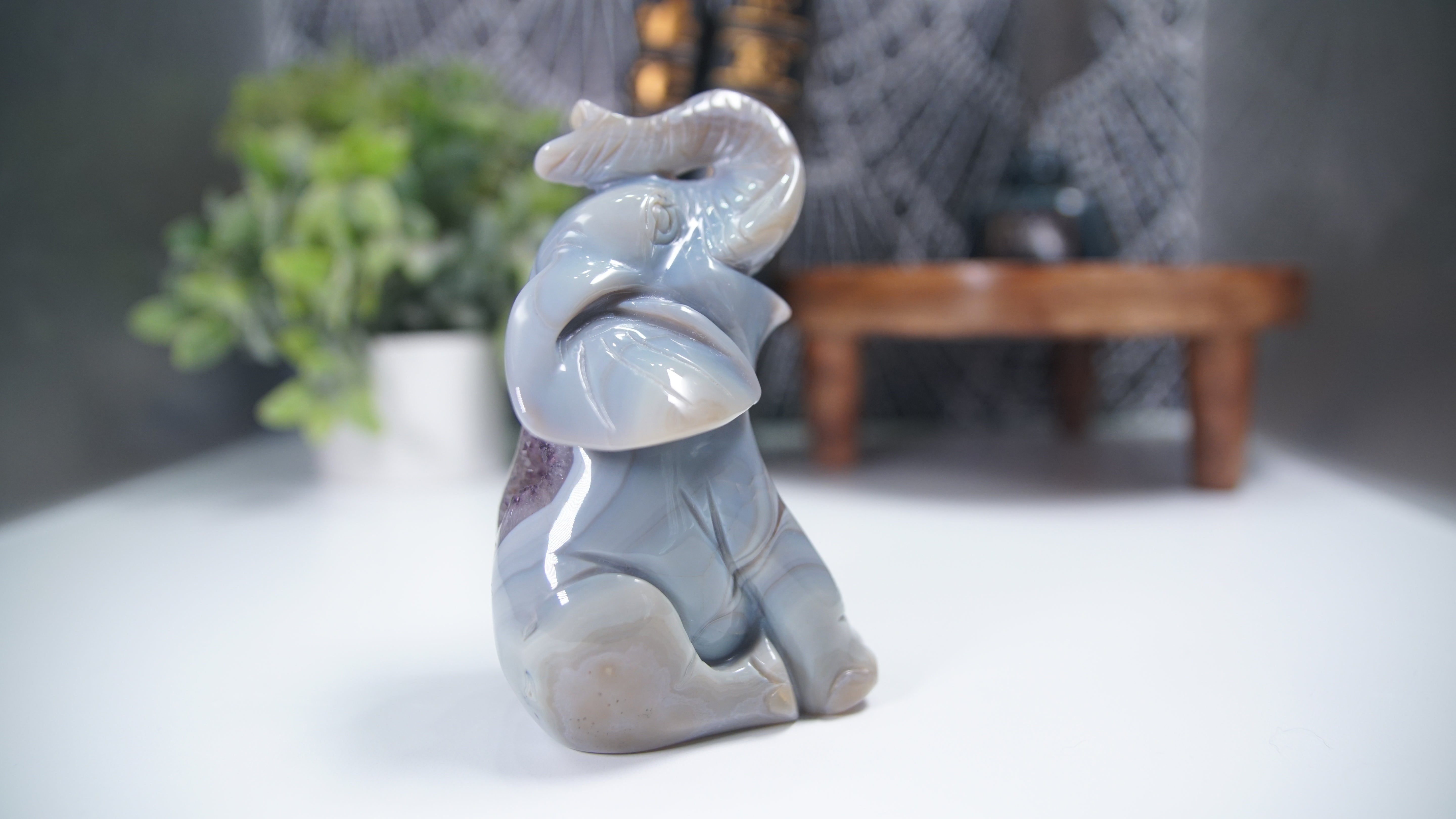 Druzy Agate Amethyst Sitting Elephant Boutique Carving