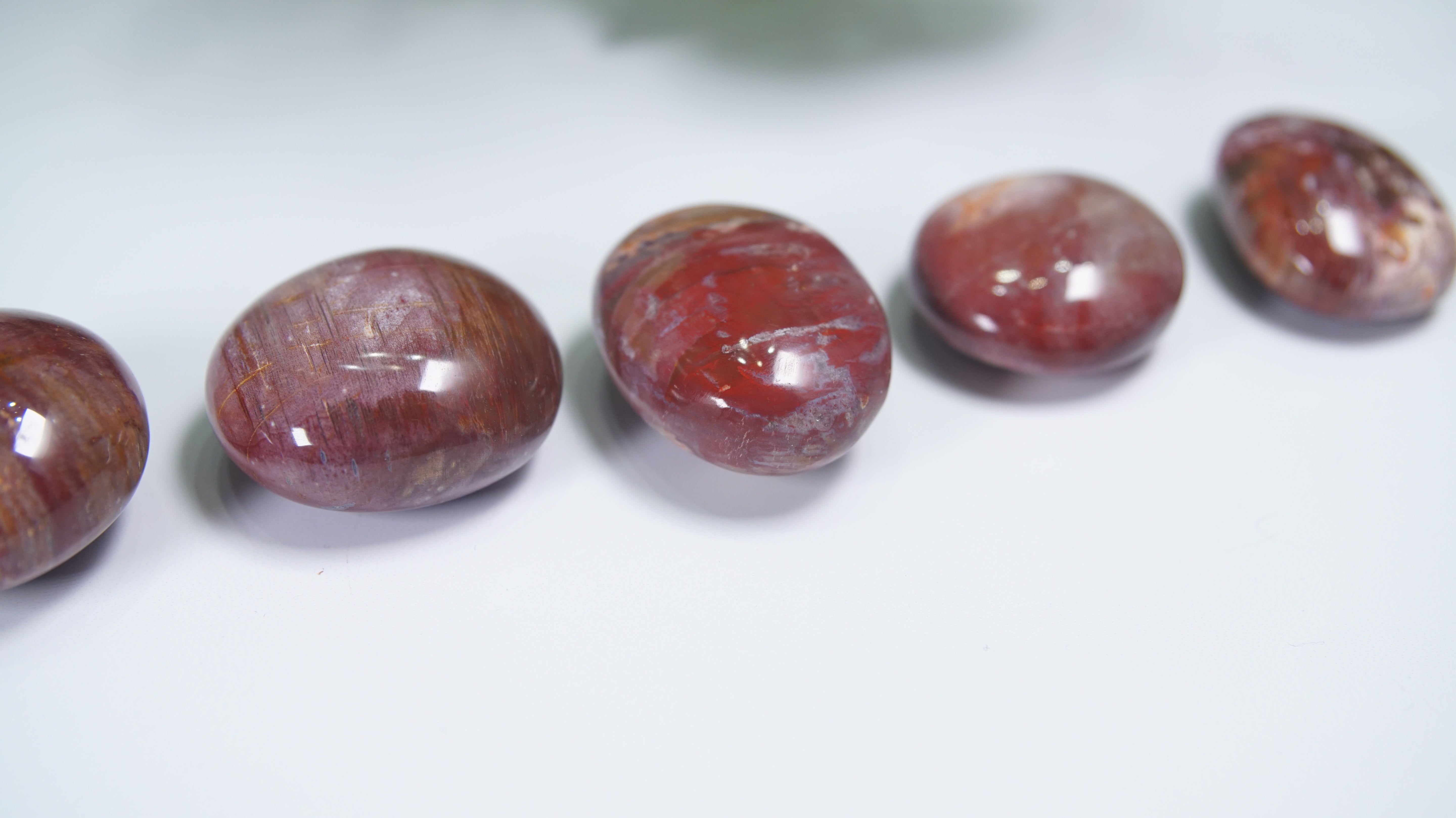 Pink & Red Petrified Wood Palm Stones - Intuitively Selected