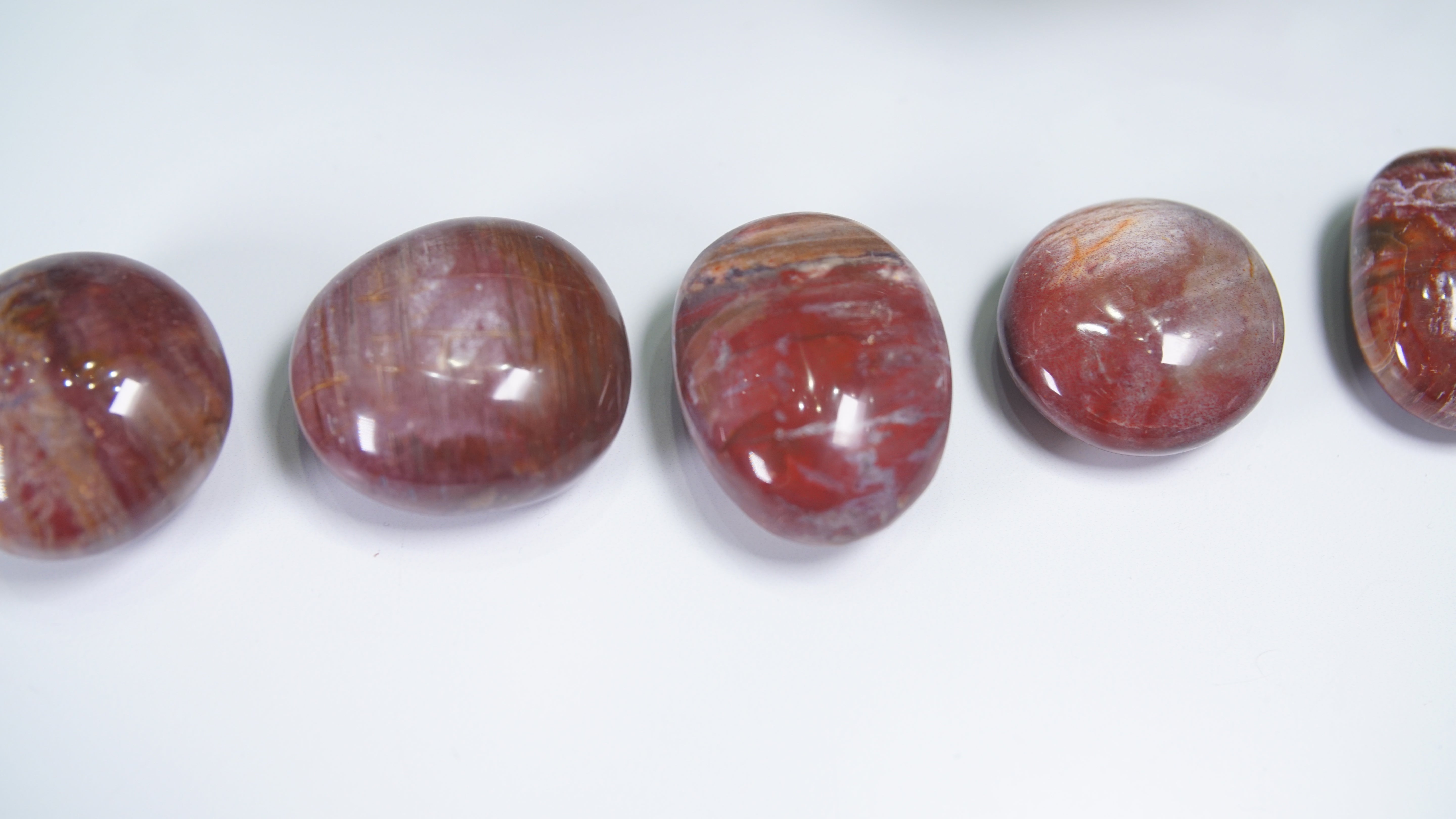 Pink & Red Petrified Wood Palm Stones - Intuitively Selected