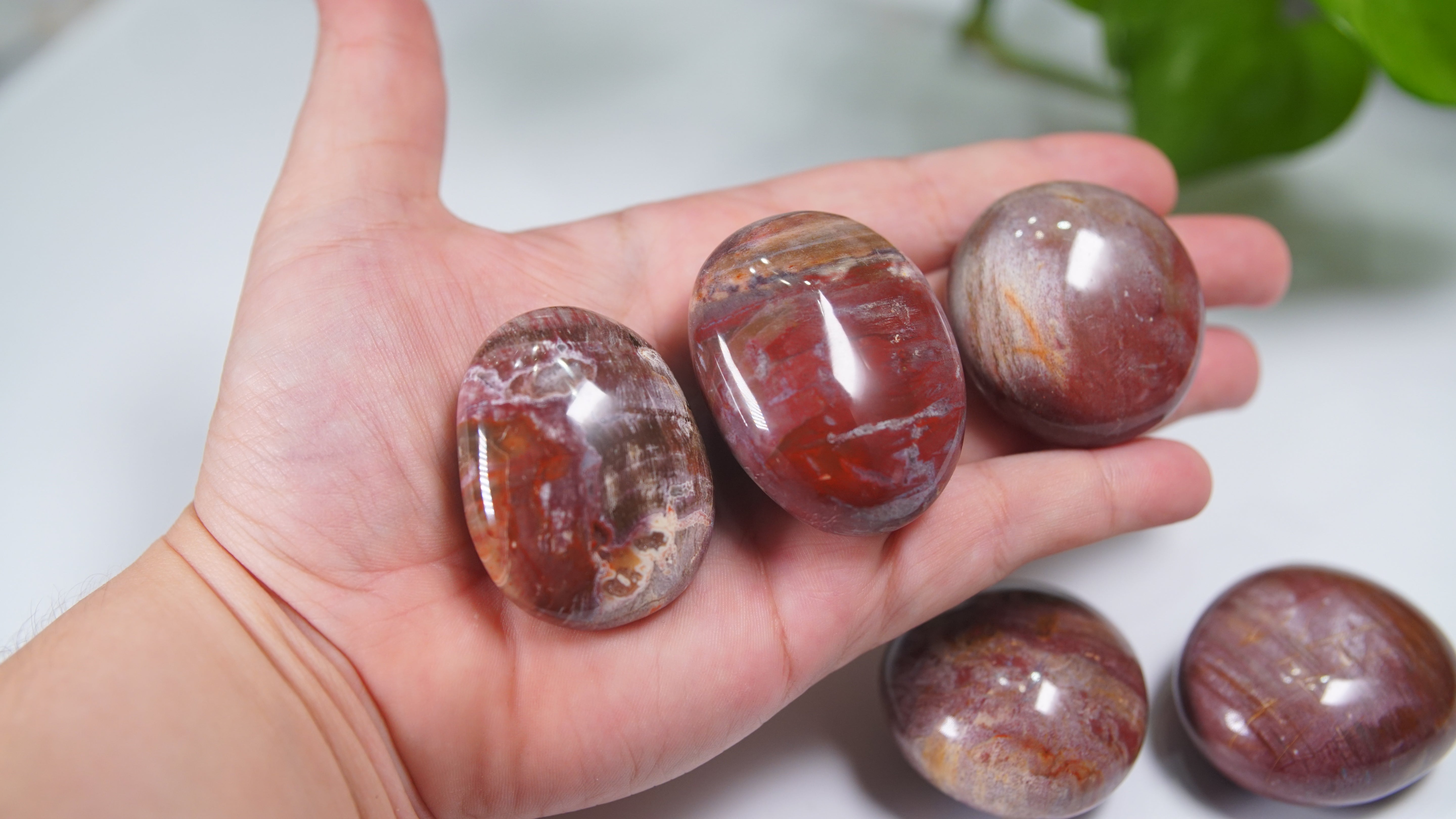 Pink & Red Petrified Wood Palm Stones - Intuitively Selected