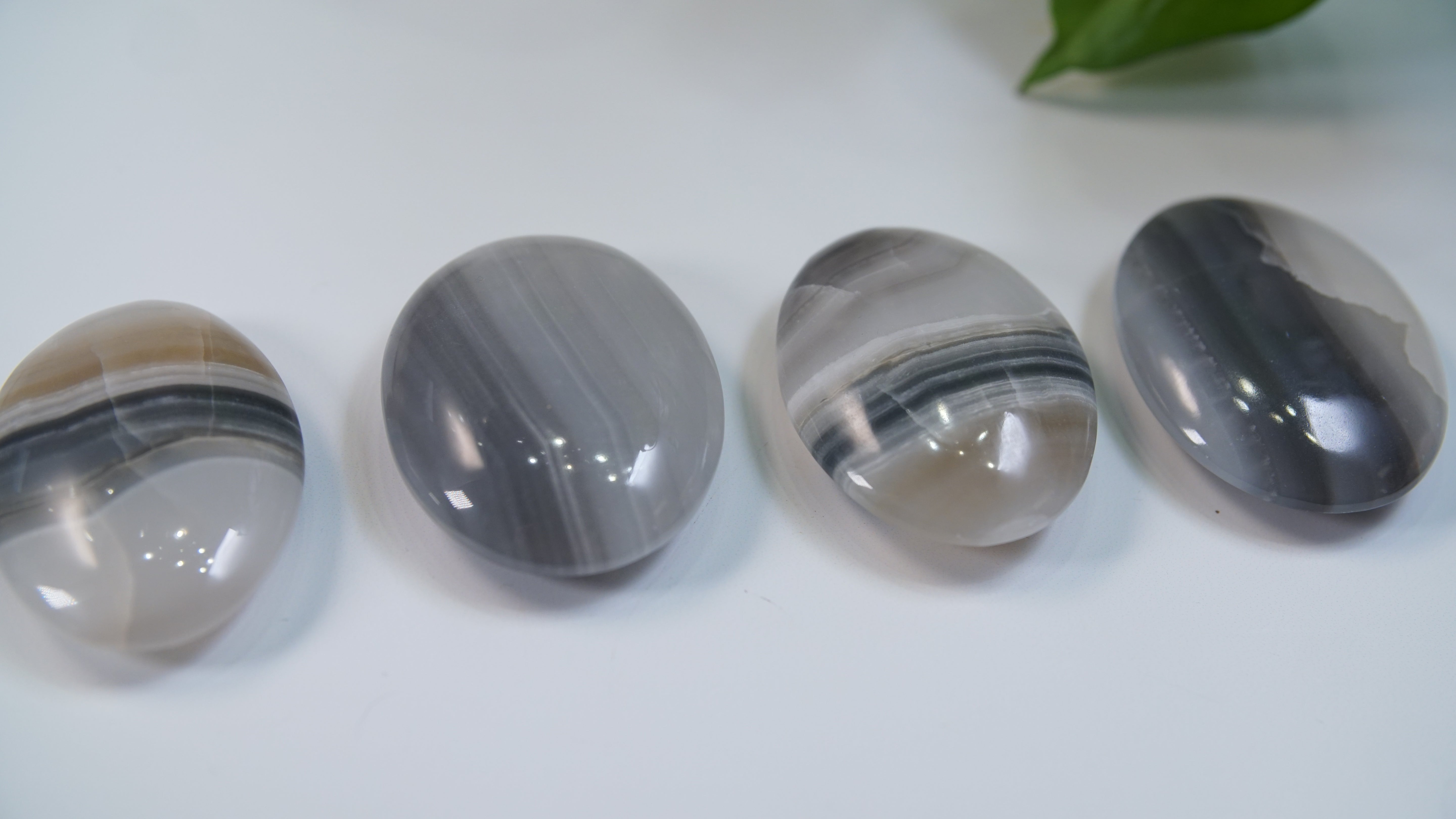 Black Onyx Calcite Palms From Pakistan - Intuitively Selected