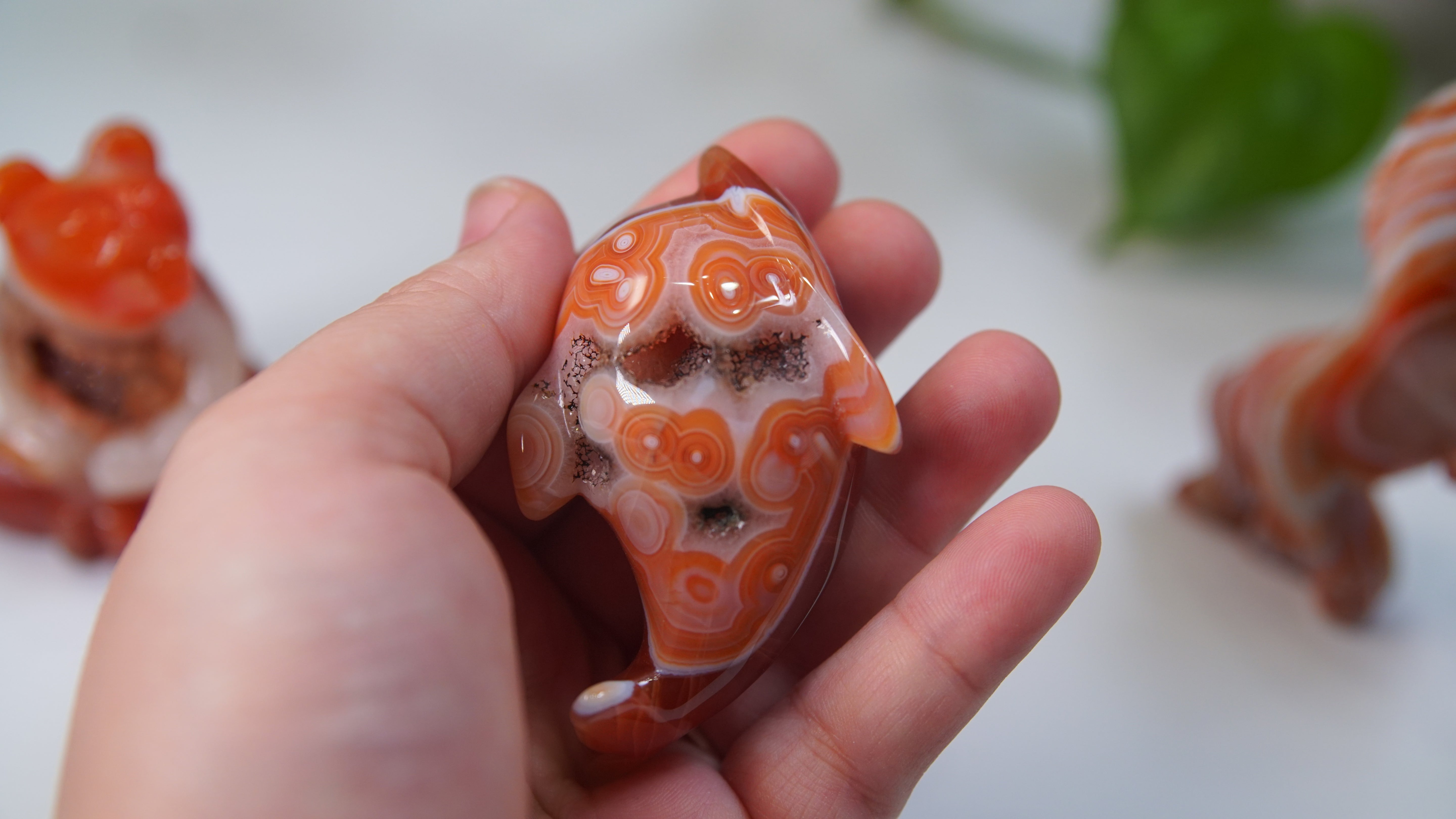 Druzy Carnelian Boutique Carvings