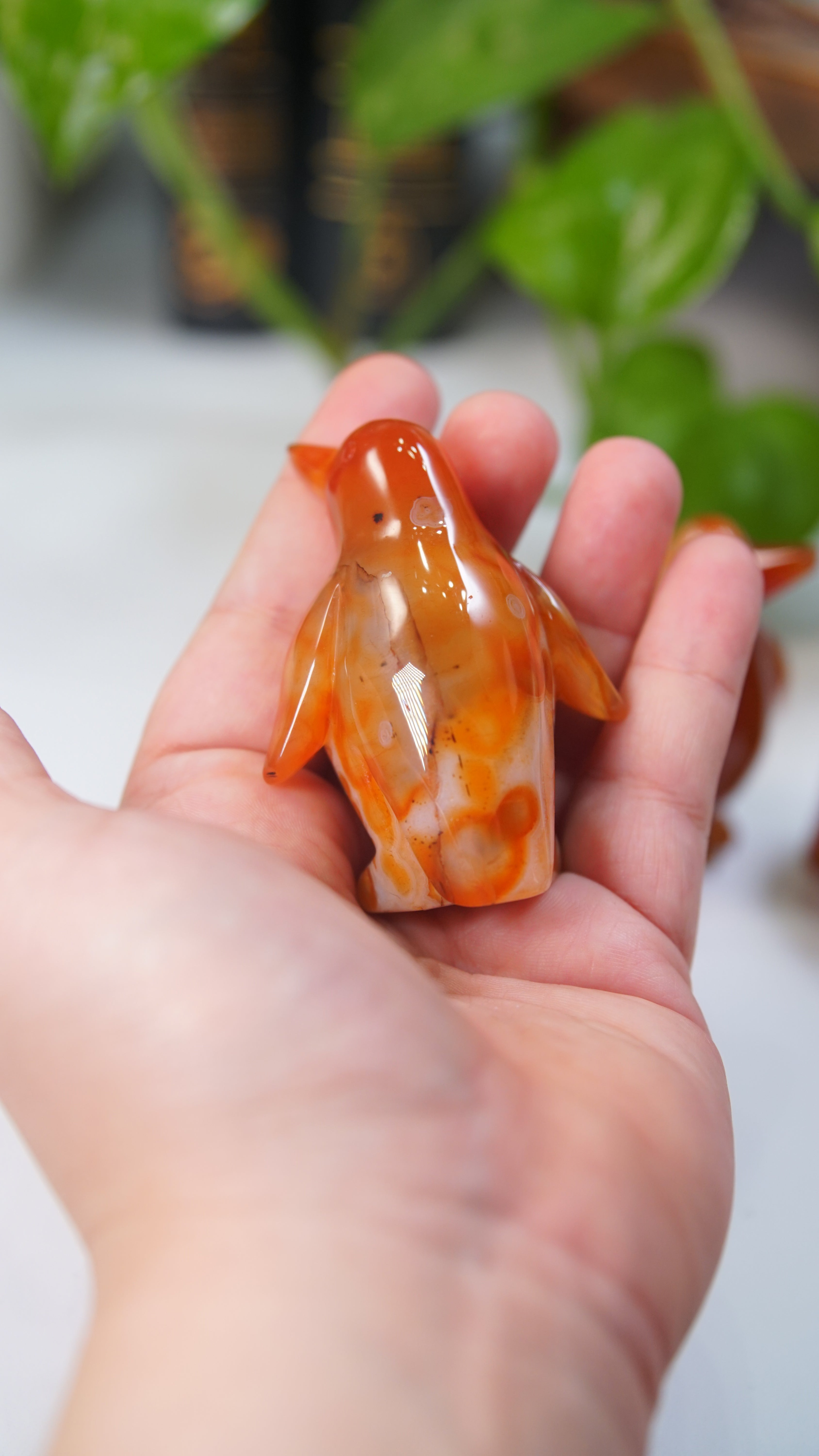 Carnelian Penguins Boutique Carvings
