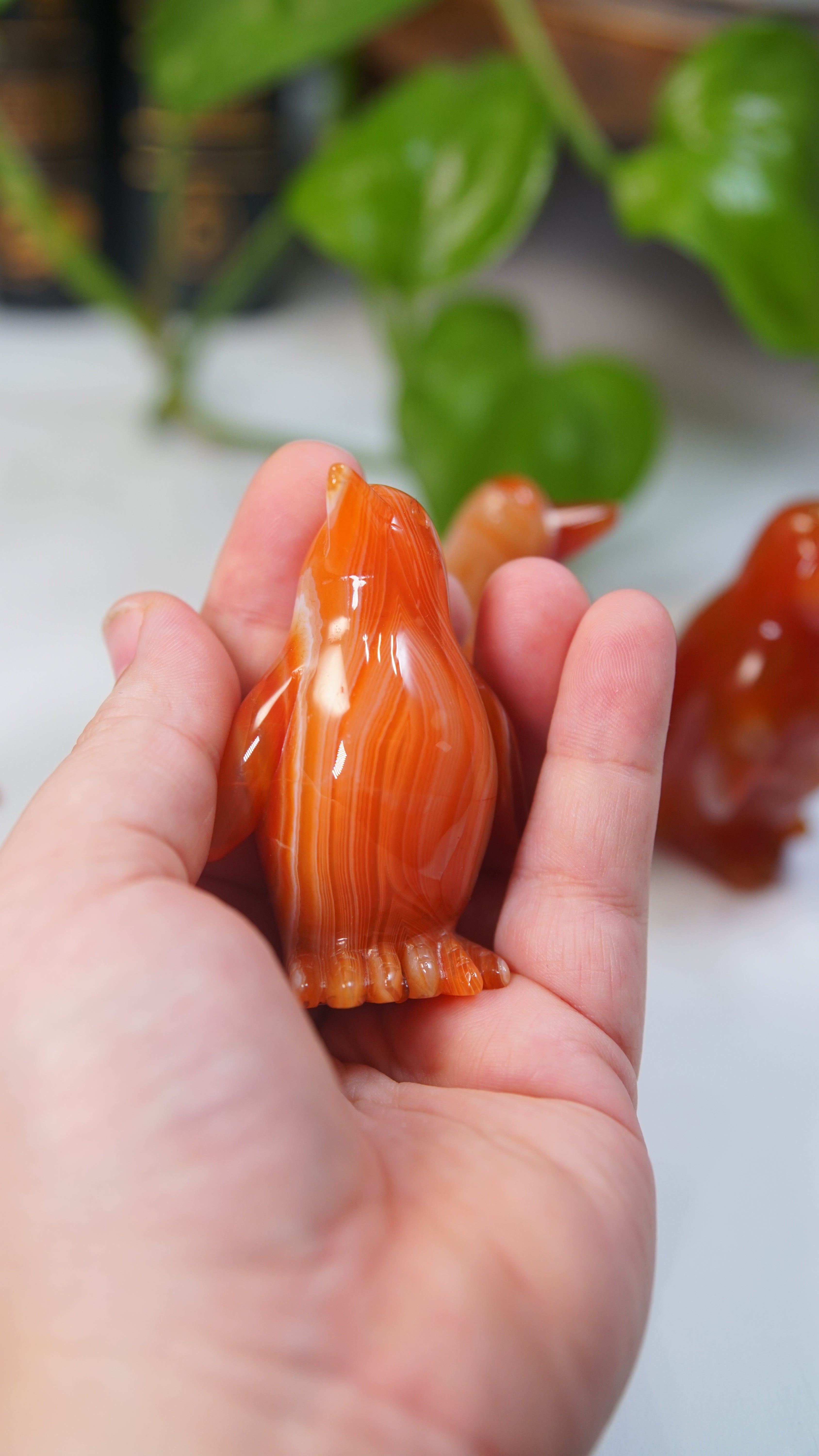 Carnelian Penguins Boutique Carvings