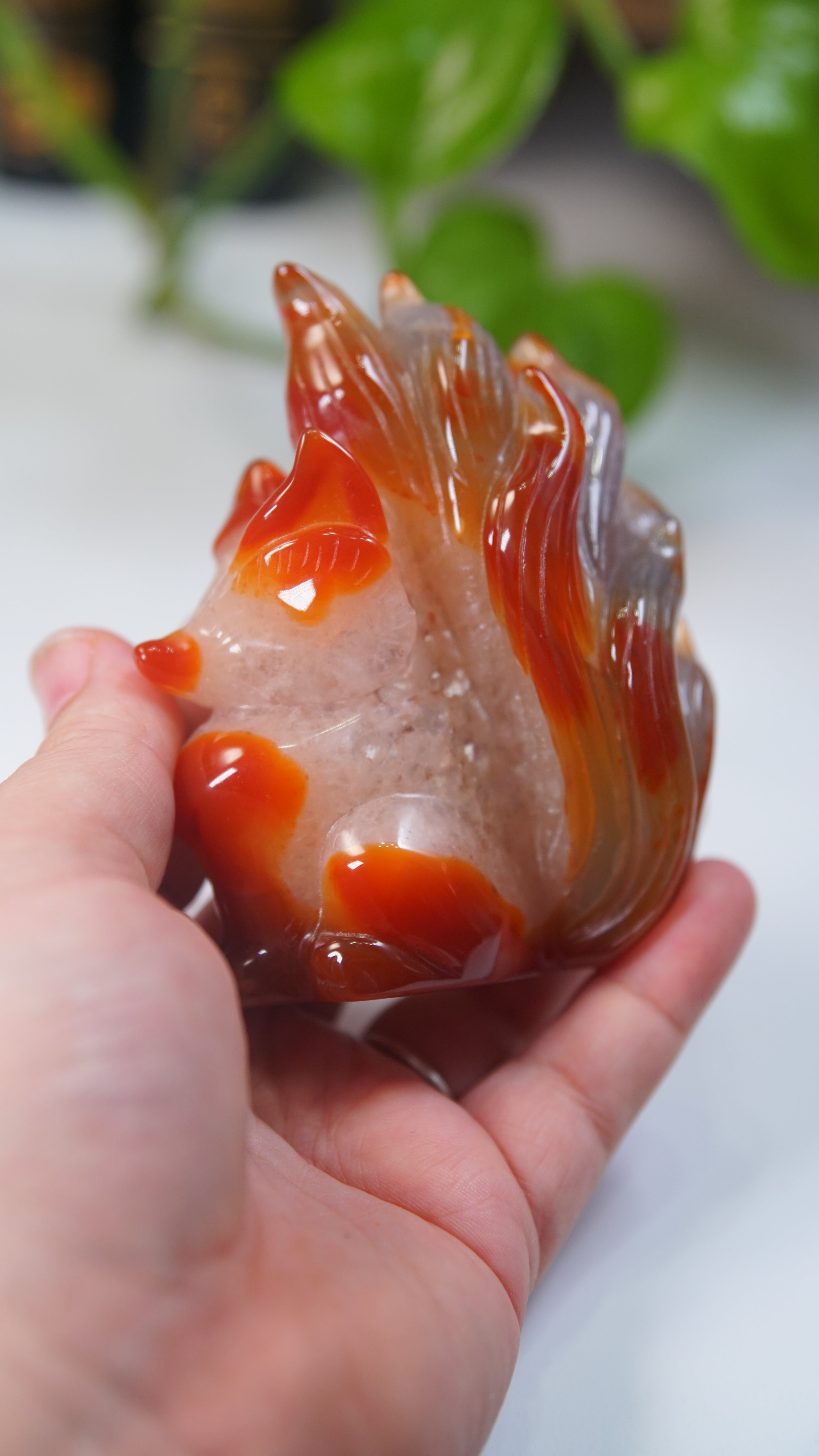 Druzy Carnelian Fox Boutique Carvings