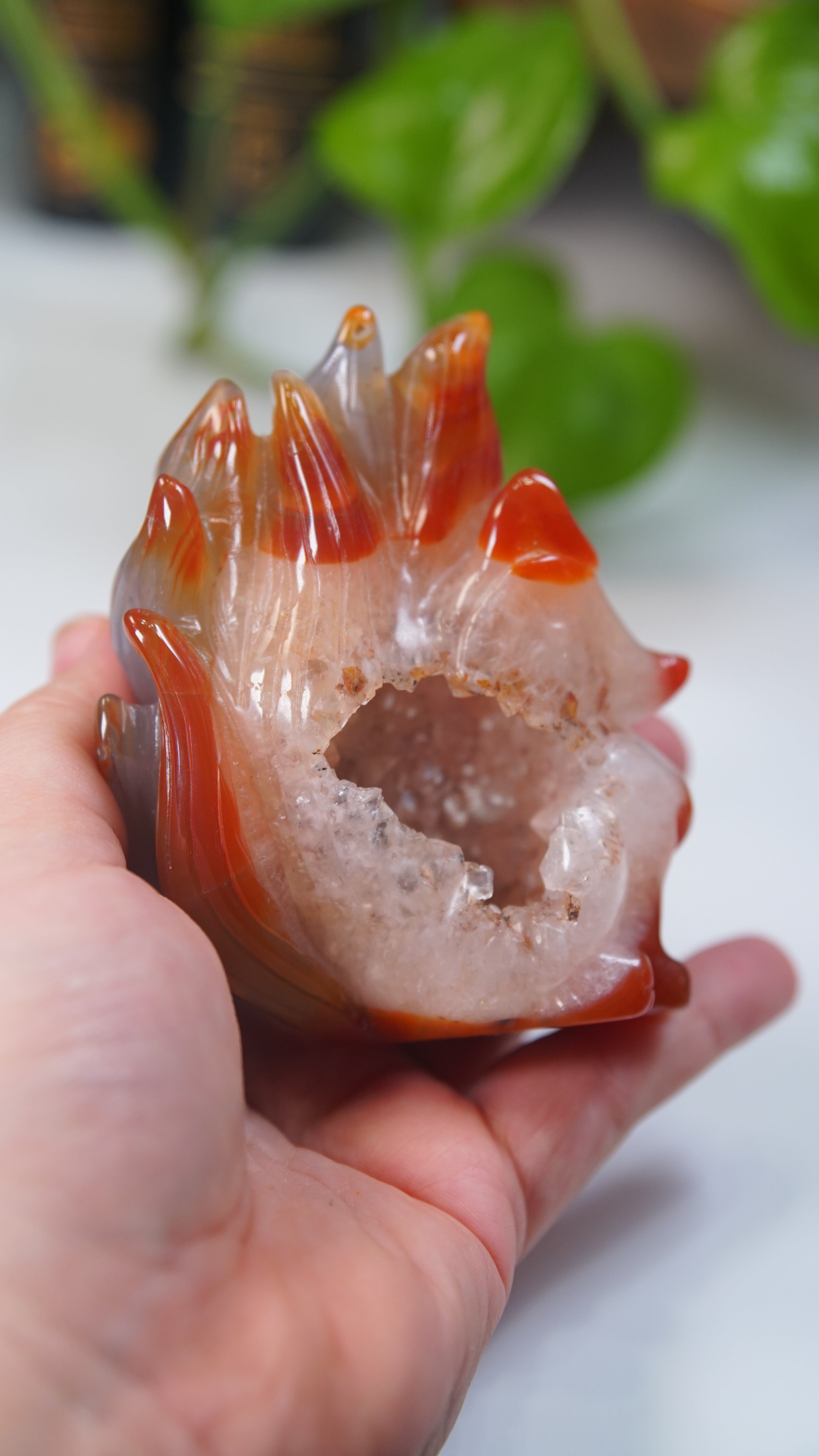 Druzy Carnelian Fox Boutique Carvings