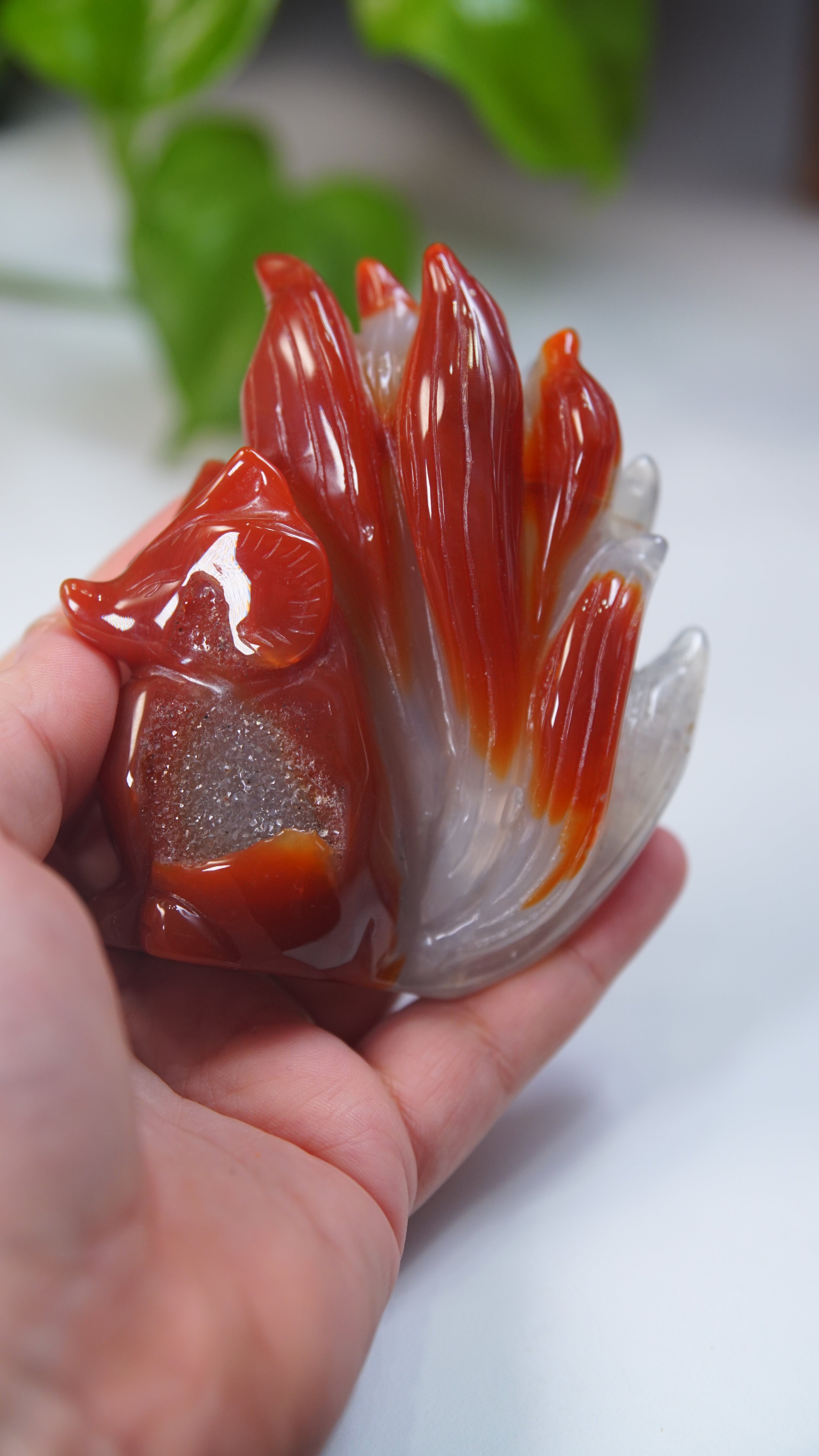 Druzy Carnelian Fox Boutique Carvings