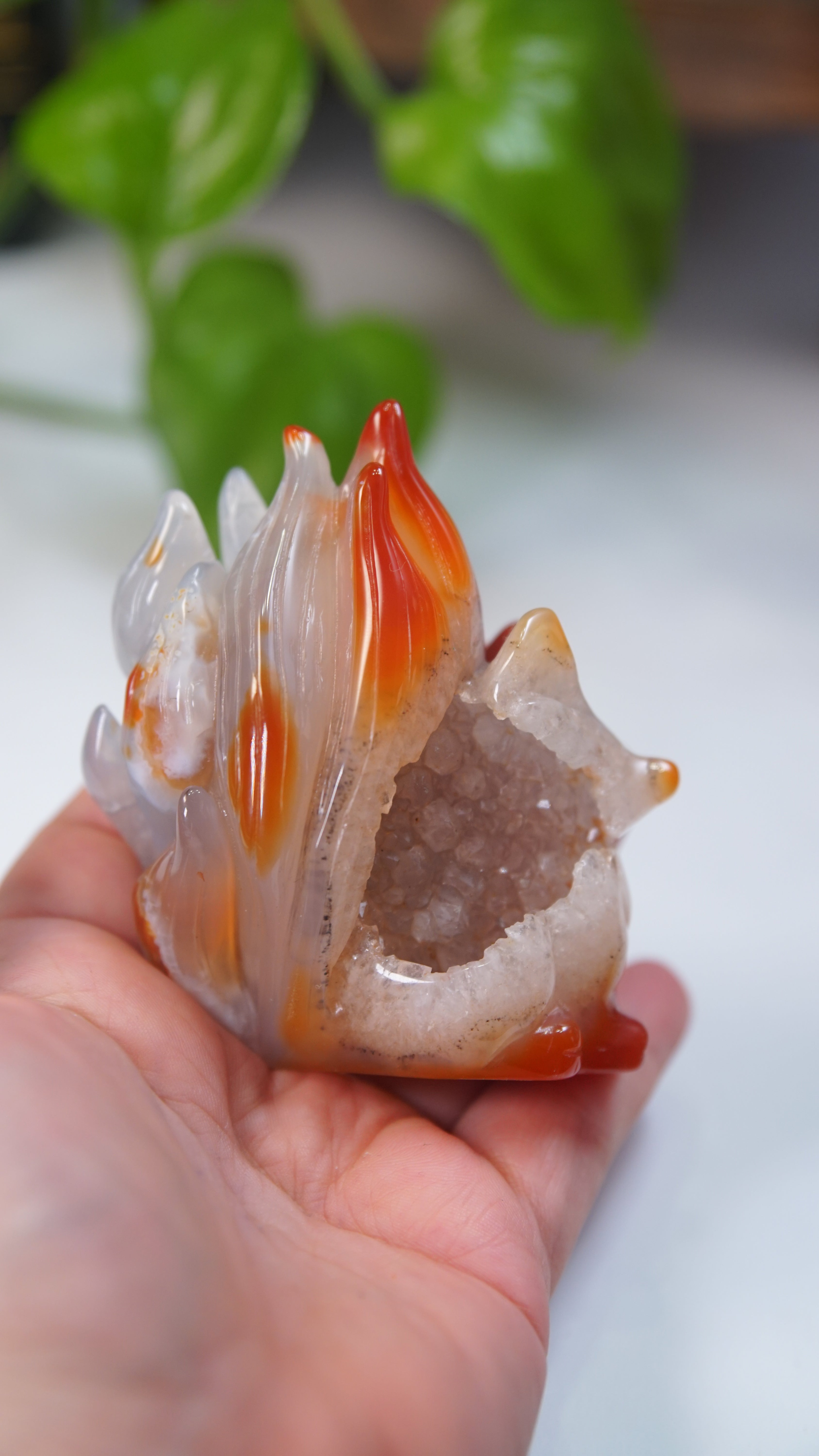 Druzy Carnelian Fox Boutique Carvings