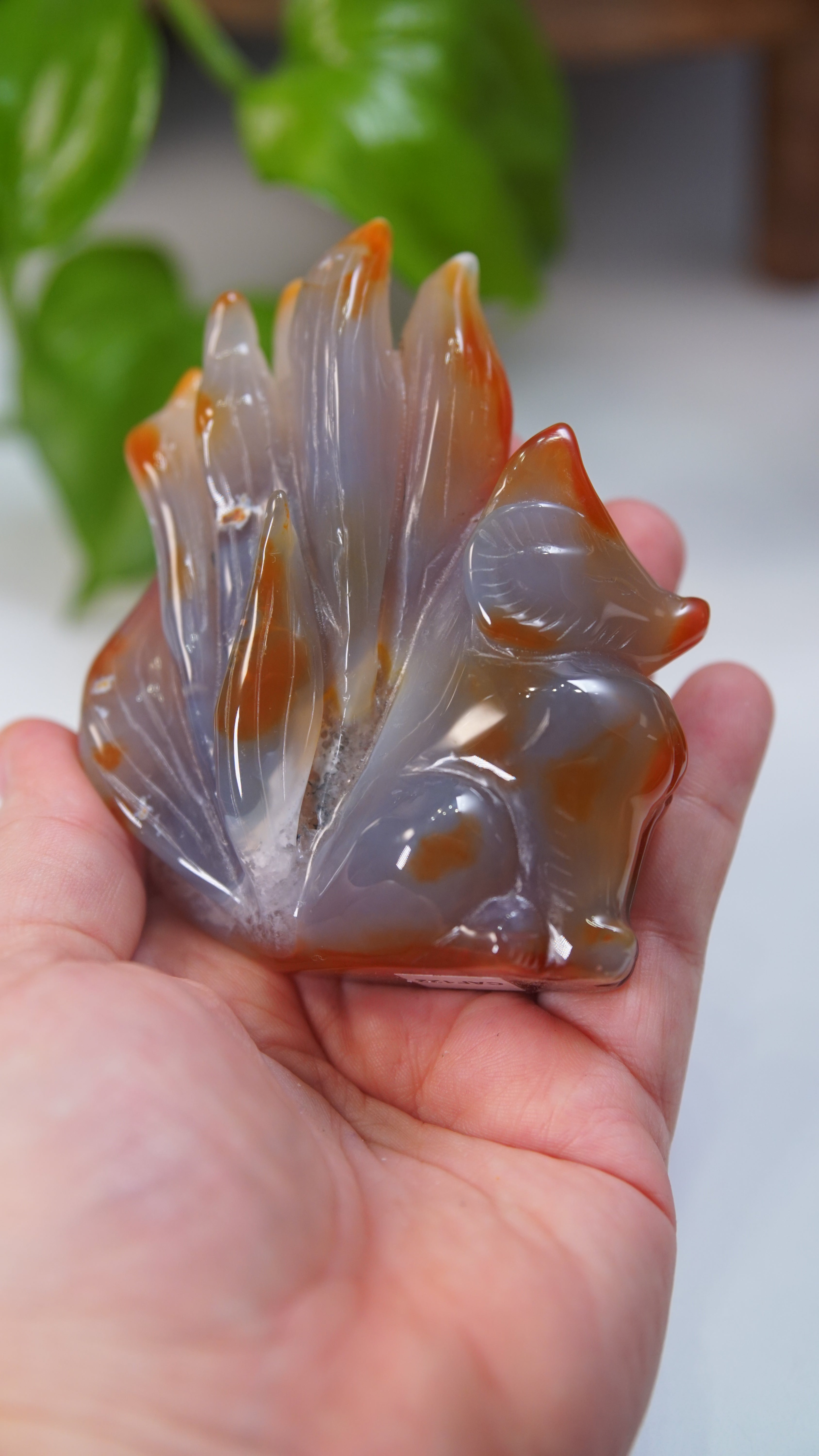 Druzy Carnelian Fox Boutique Carvings