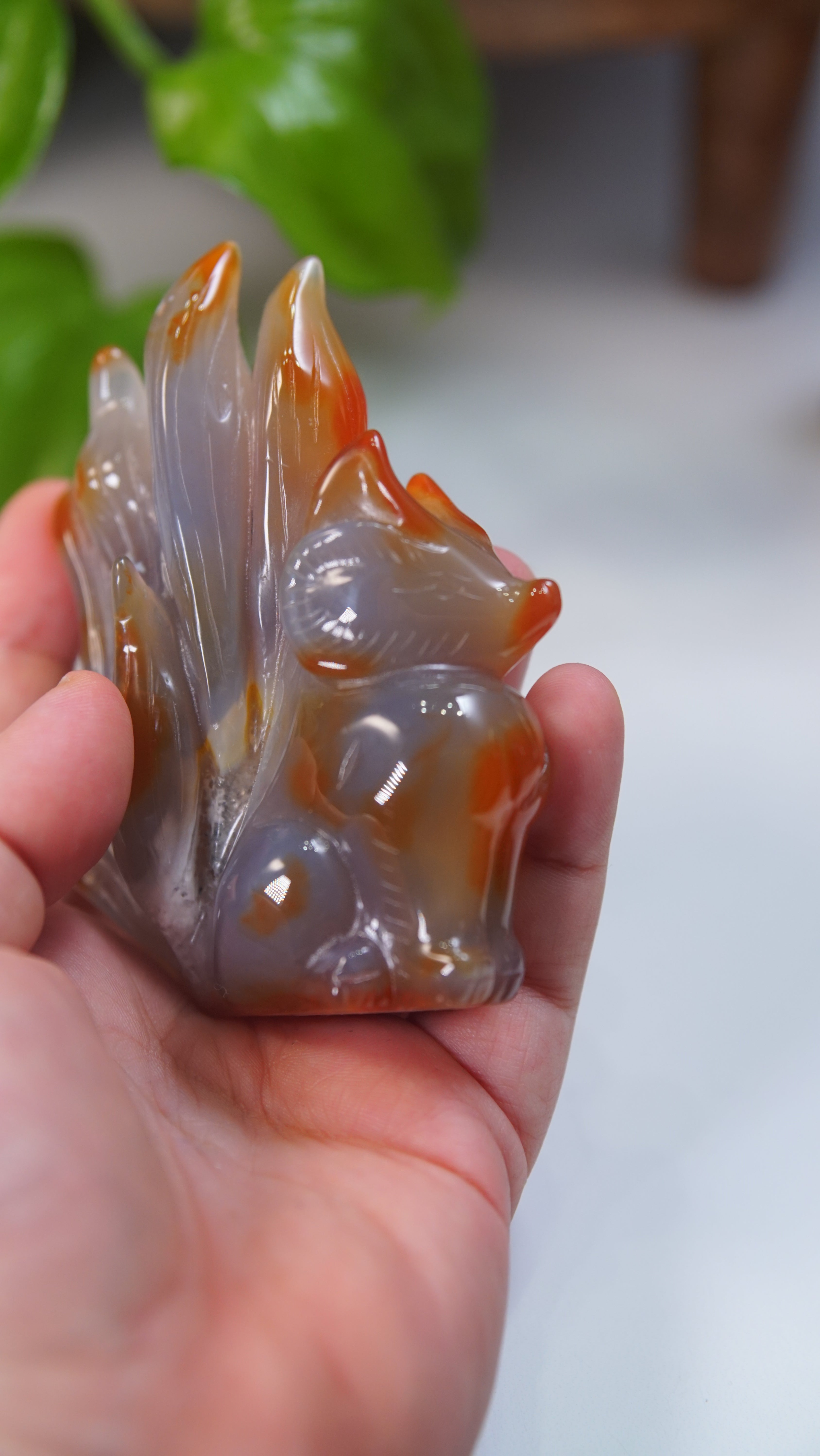 Druzy Carnelian Fox Boutique Carvings