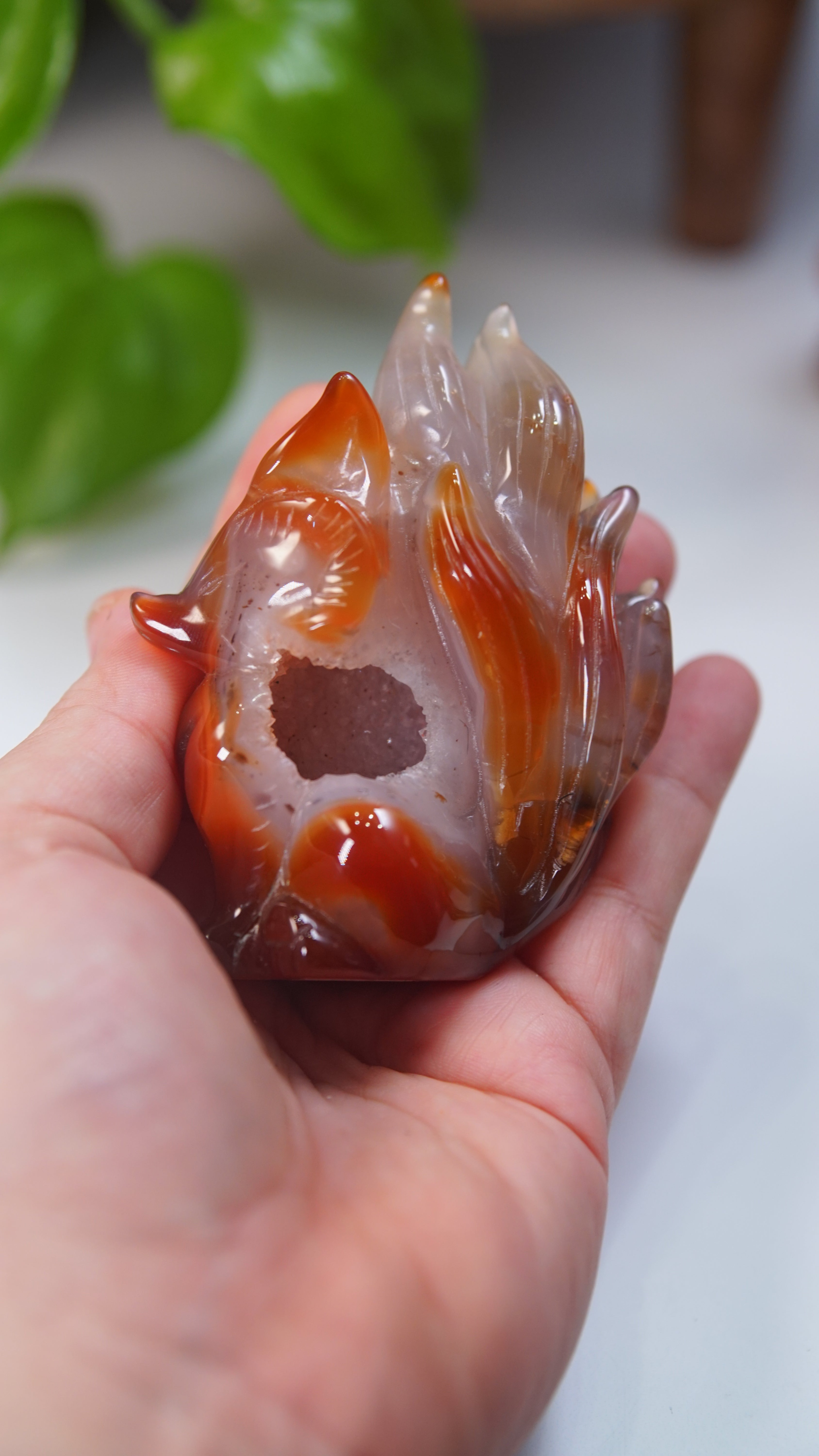Druzy Carnelian Fox Boutique Carvings