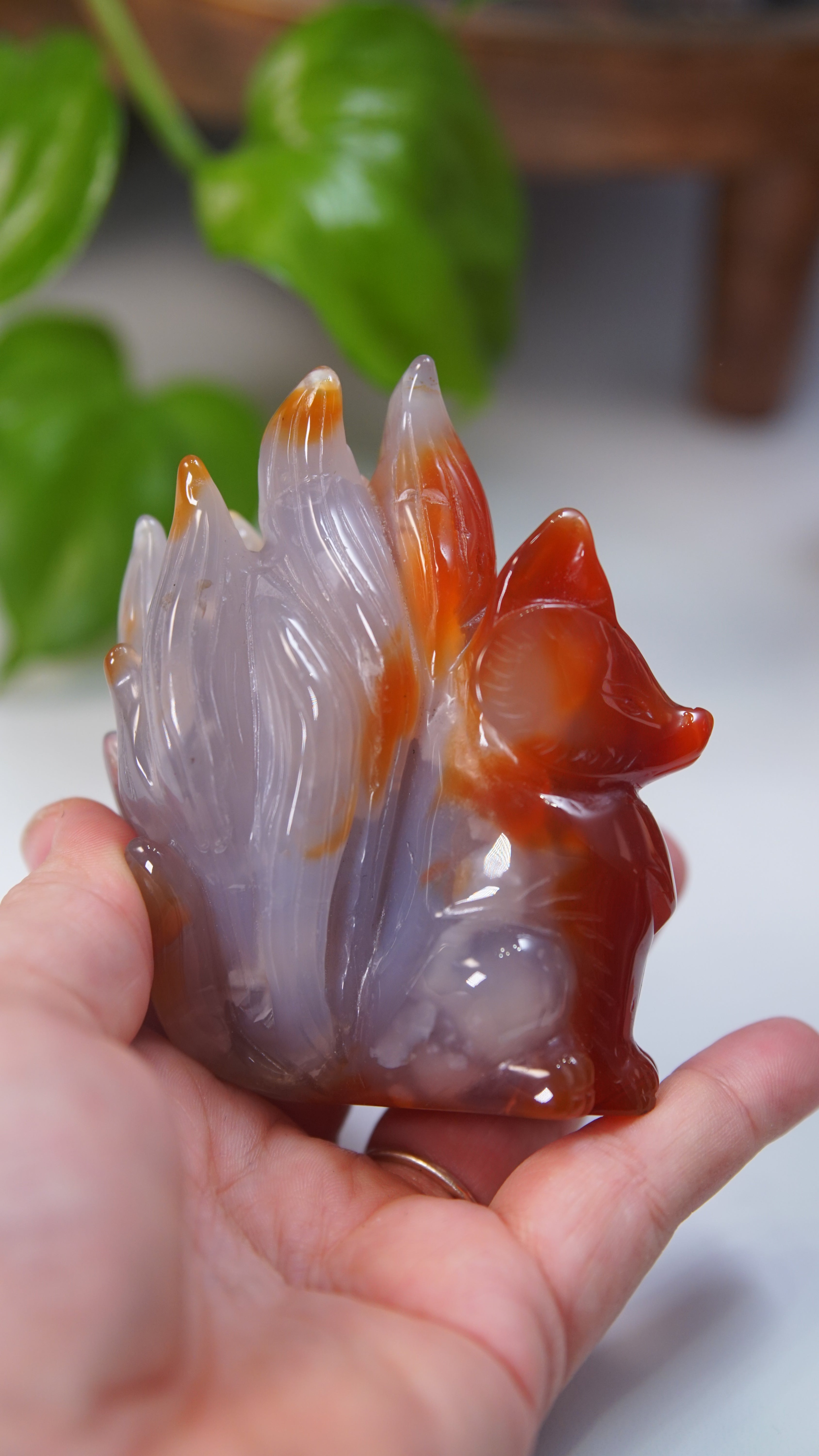 Druzy Carnelian Fox Boutique Carvings