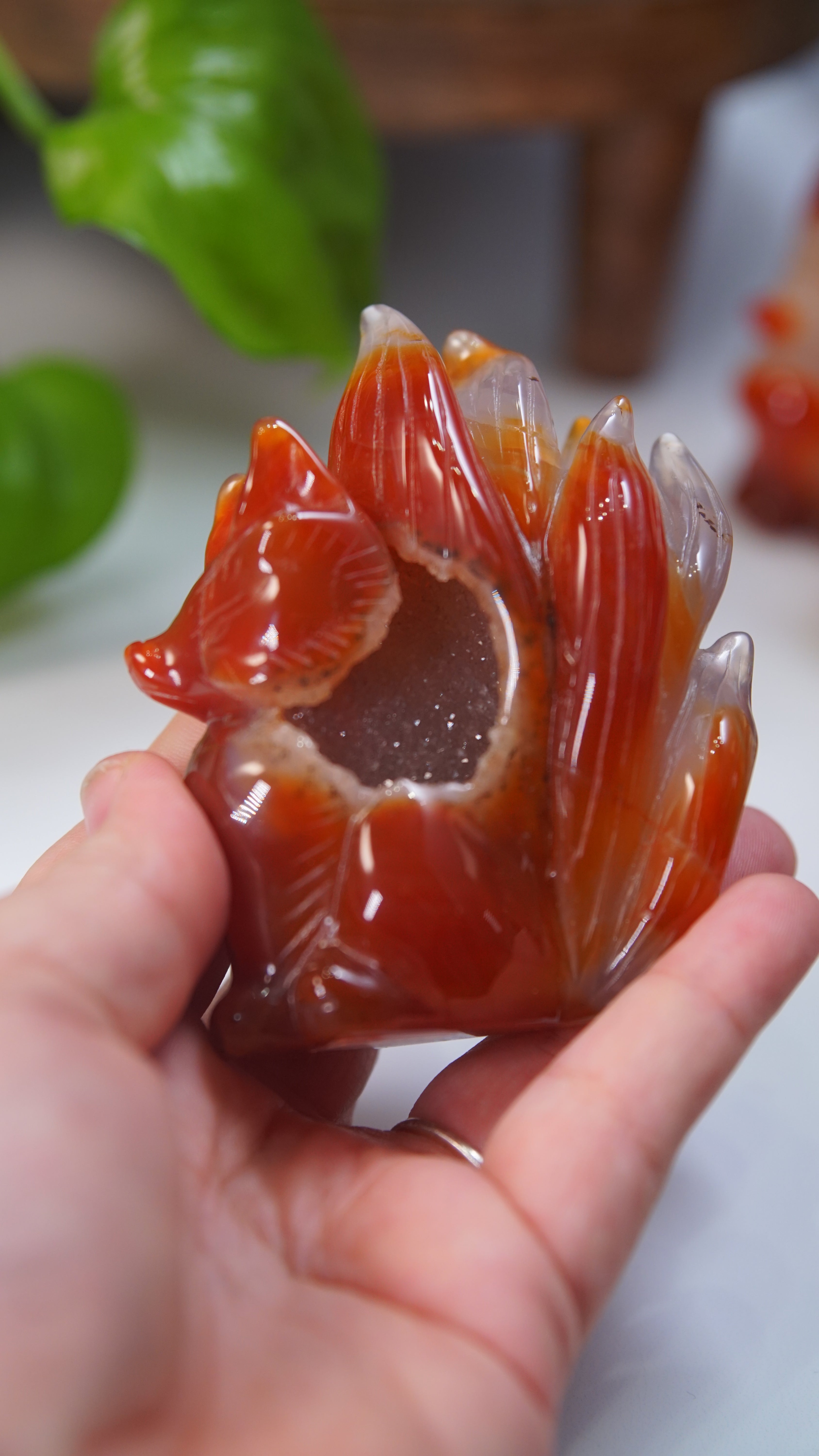 Druzy Carnelian Fox Boutique Carvings