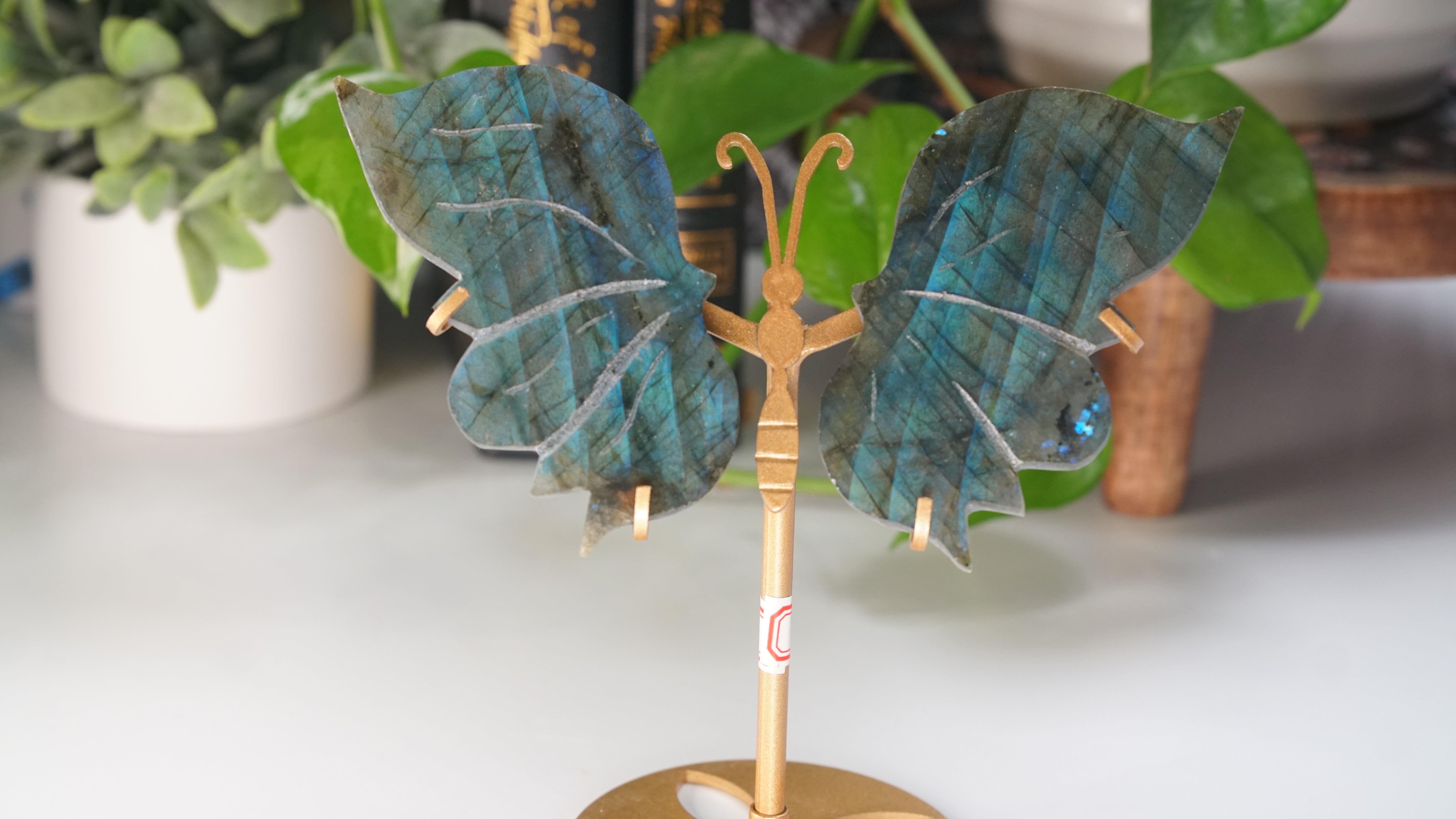 Labradorite